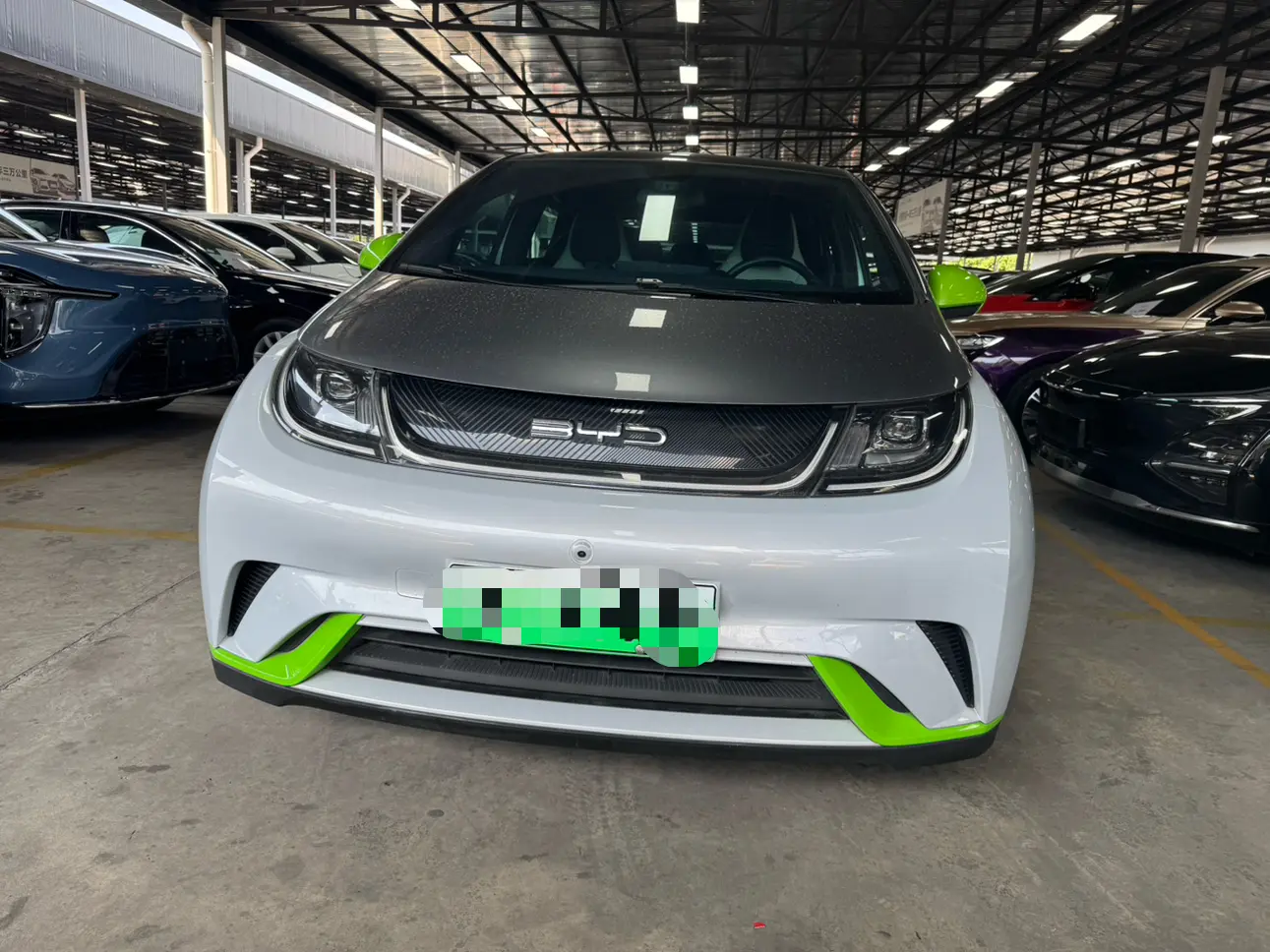 BYD Dolphin