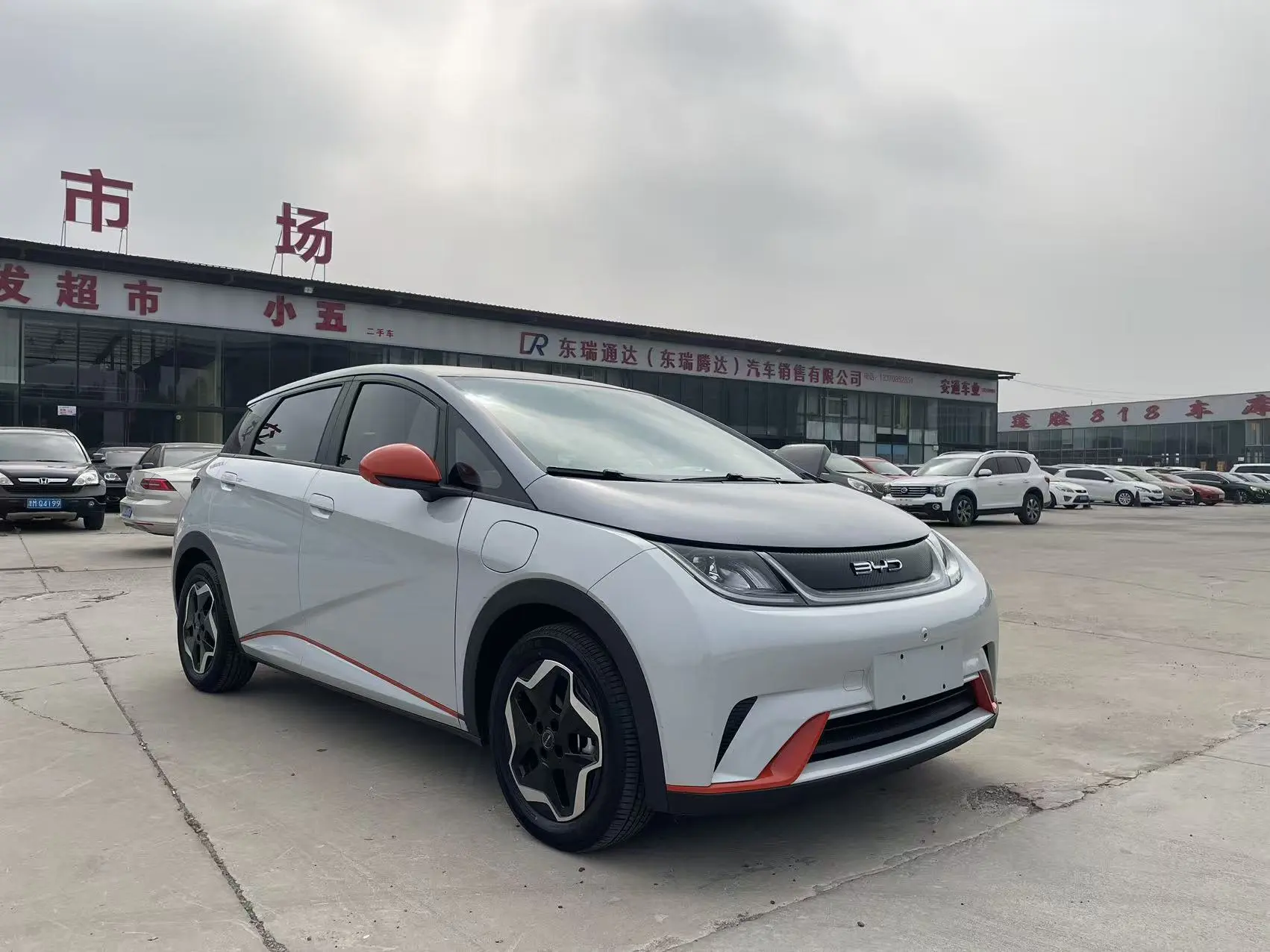 BYD Dolphin