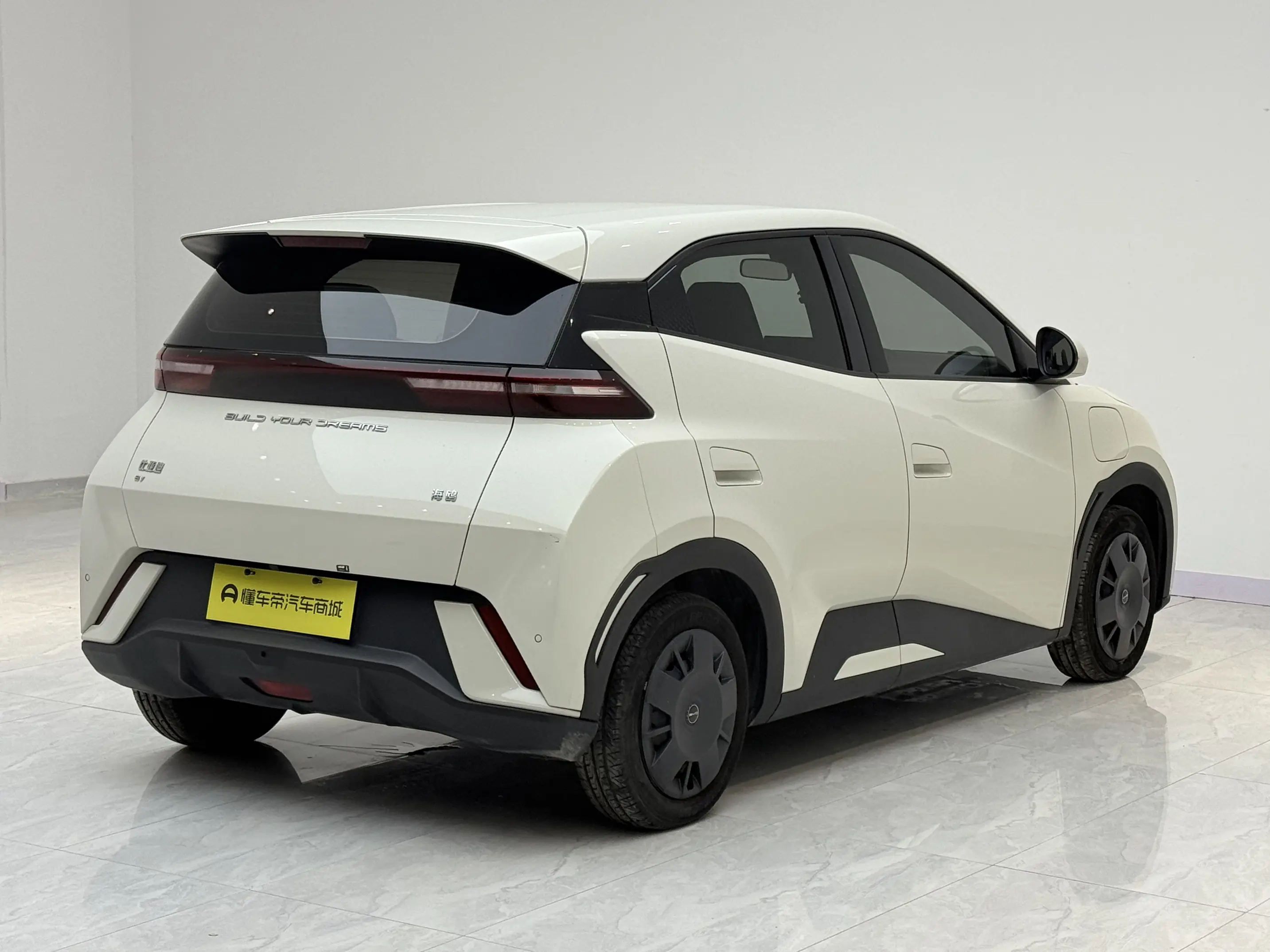BYD seagull