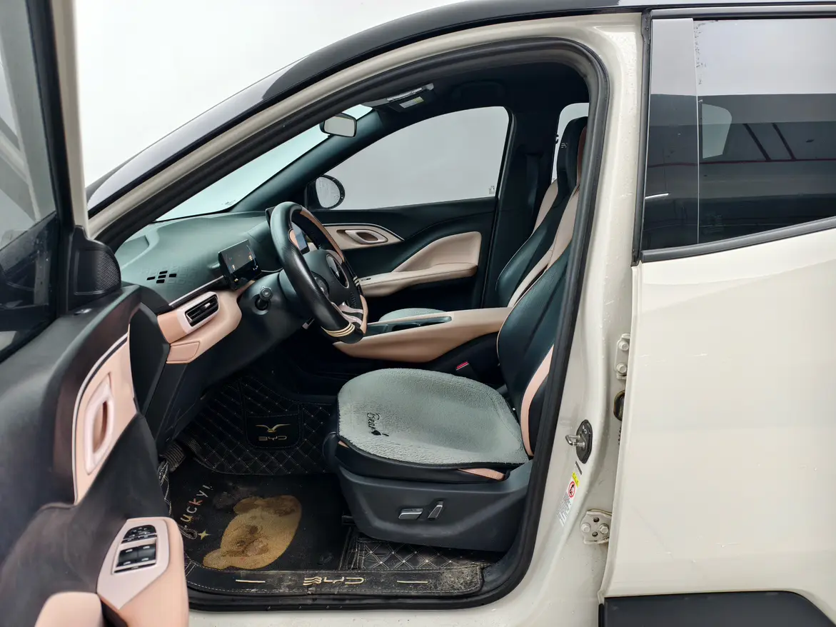 BYD Seagull