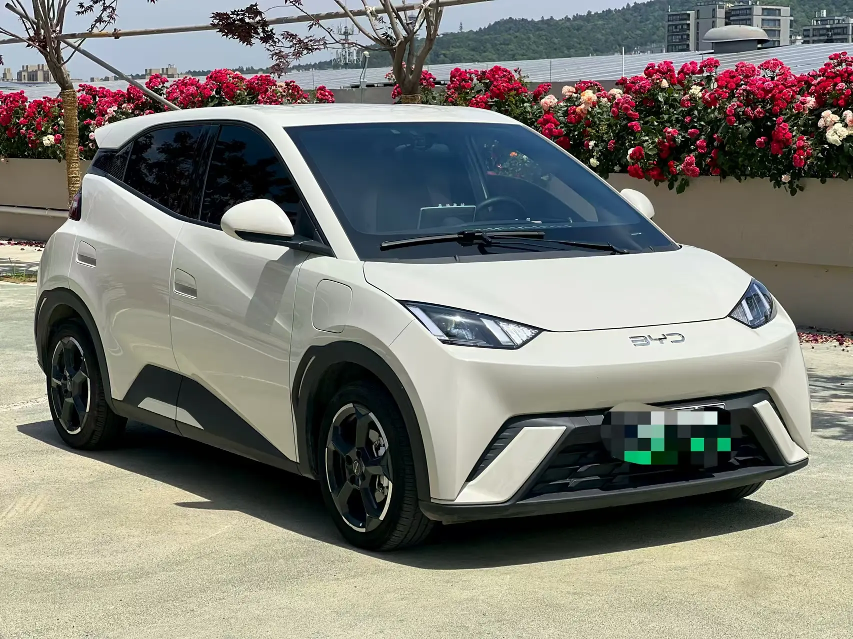 BYD Seagull