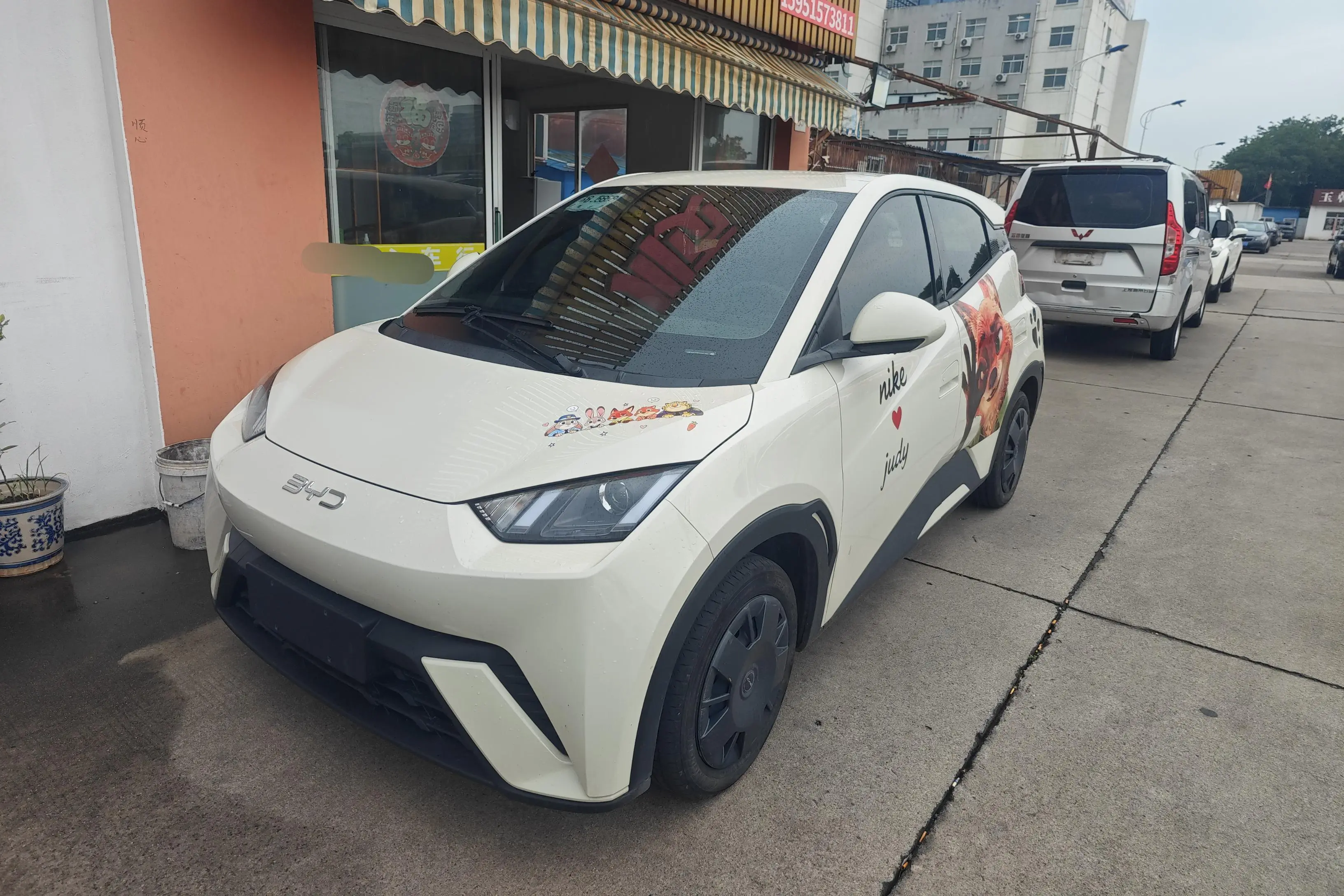 BYD Seagull
