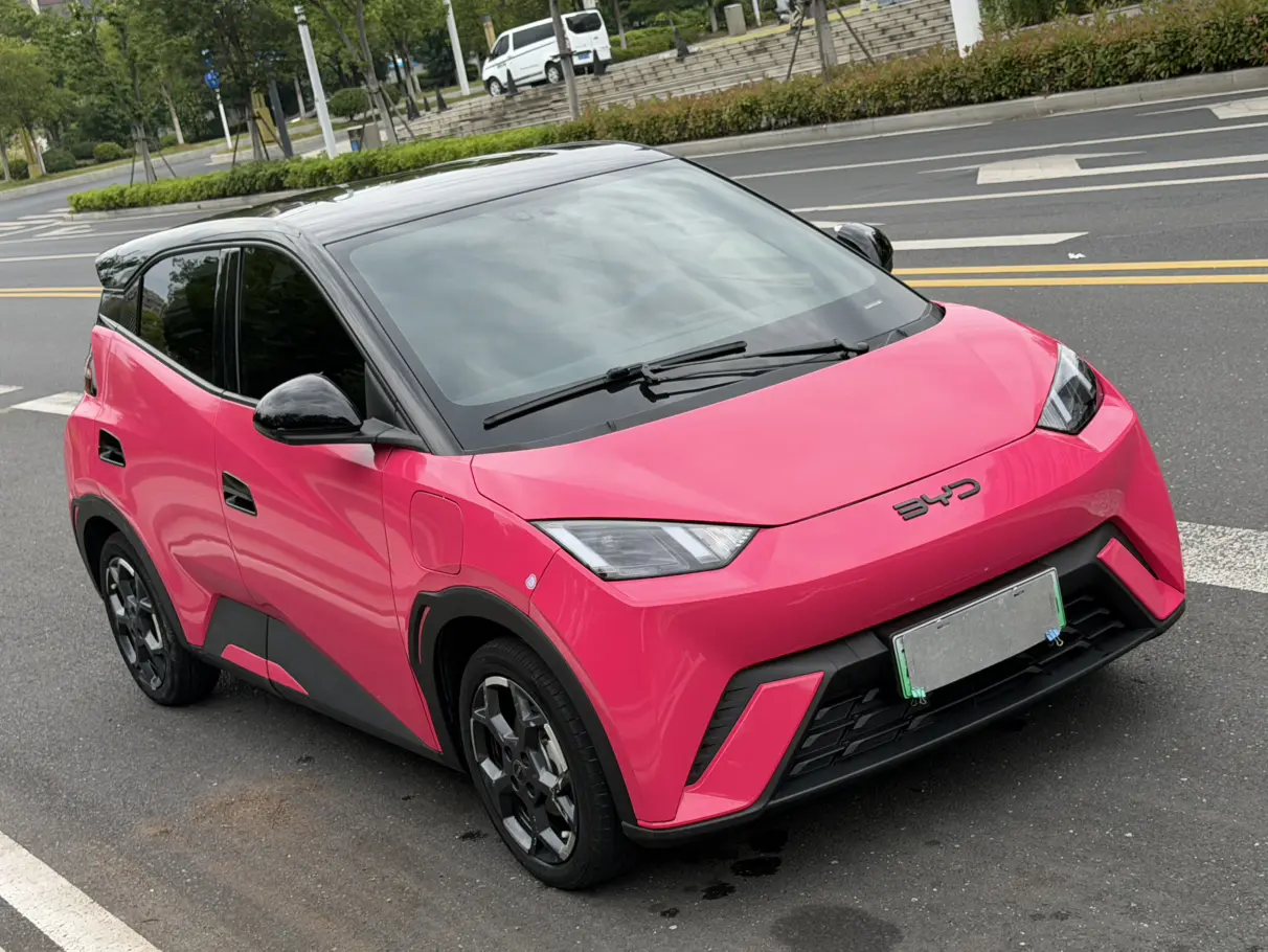 BYD seagull