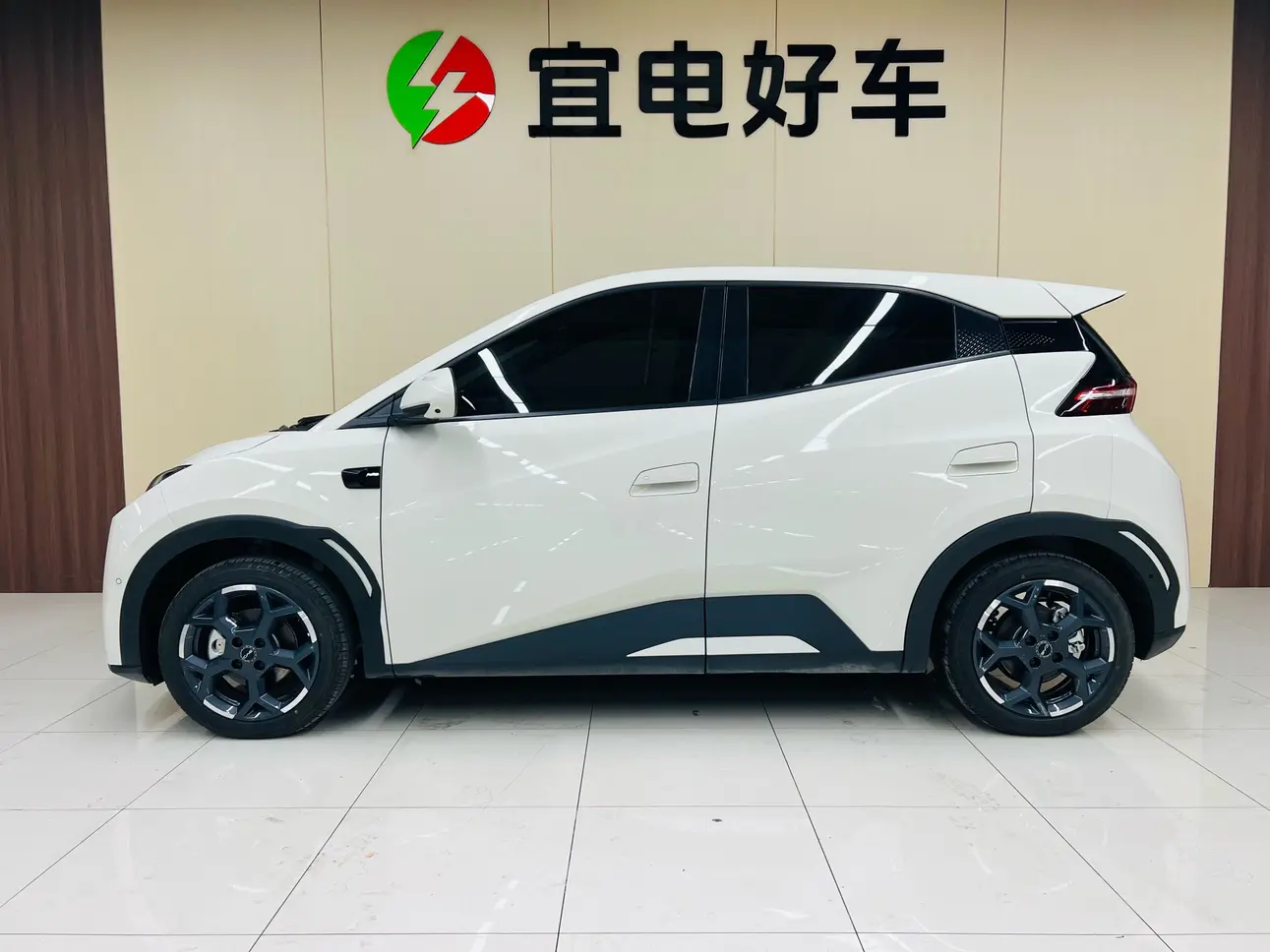 BYD Seagull