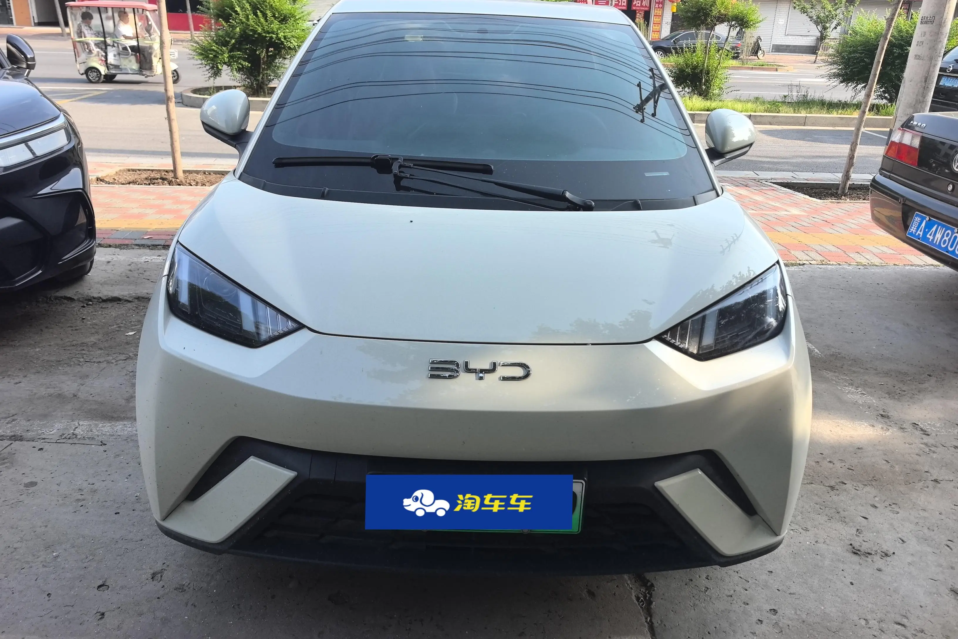 BYD Seagull