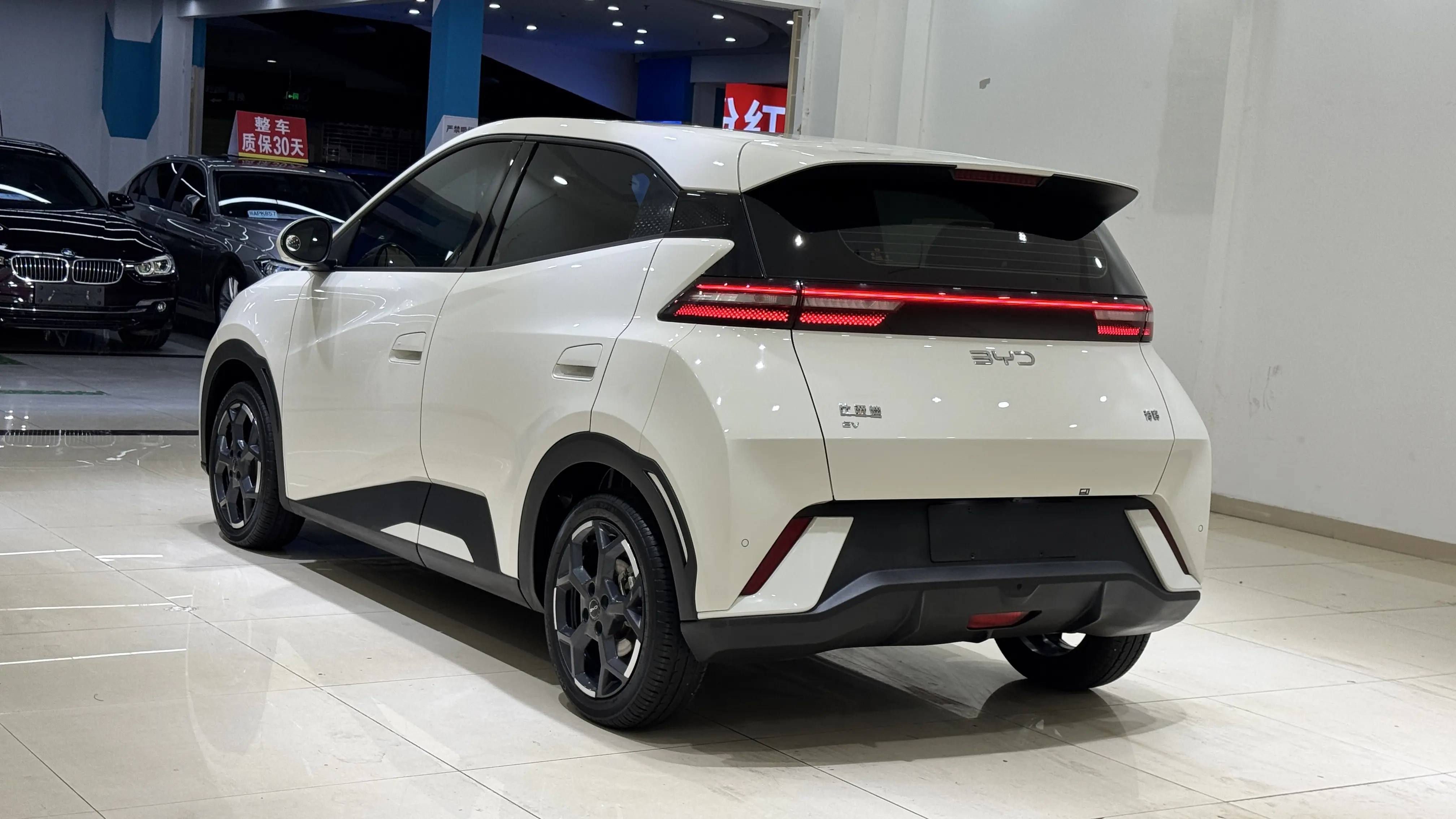 BYD Seagull