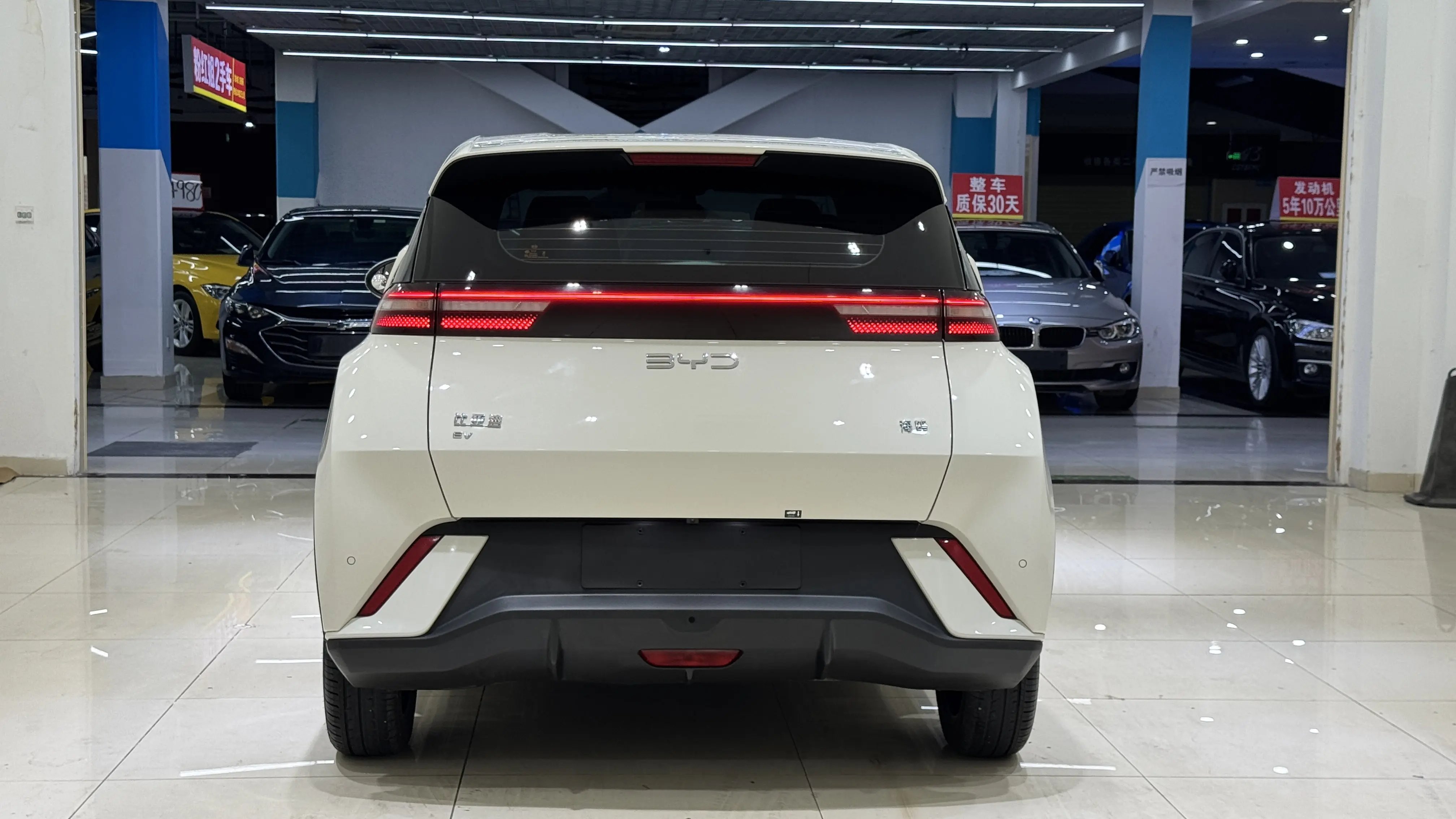 BYD Seagull