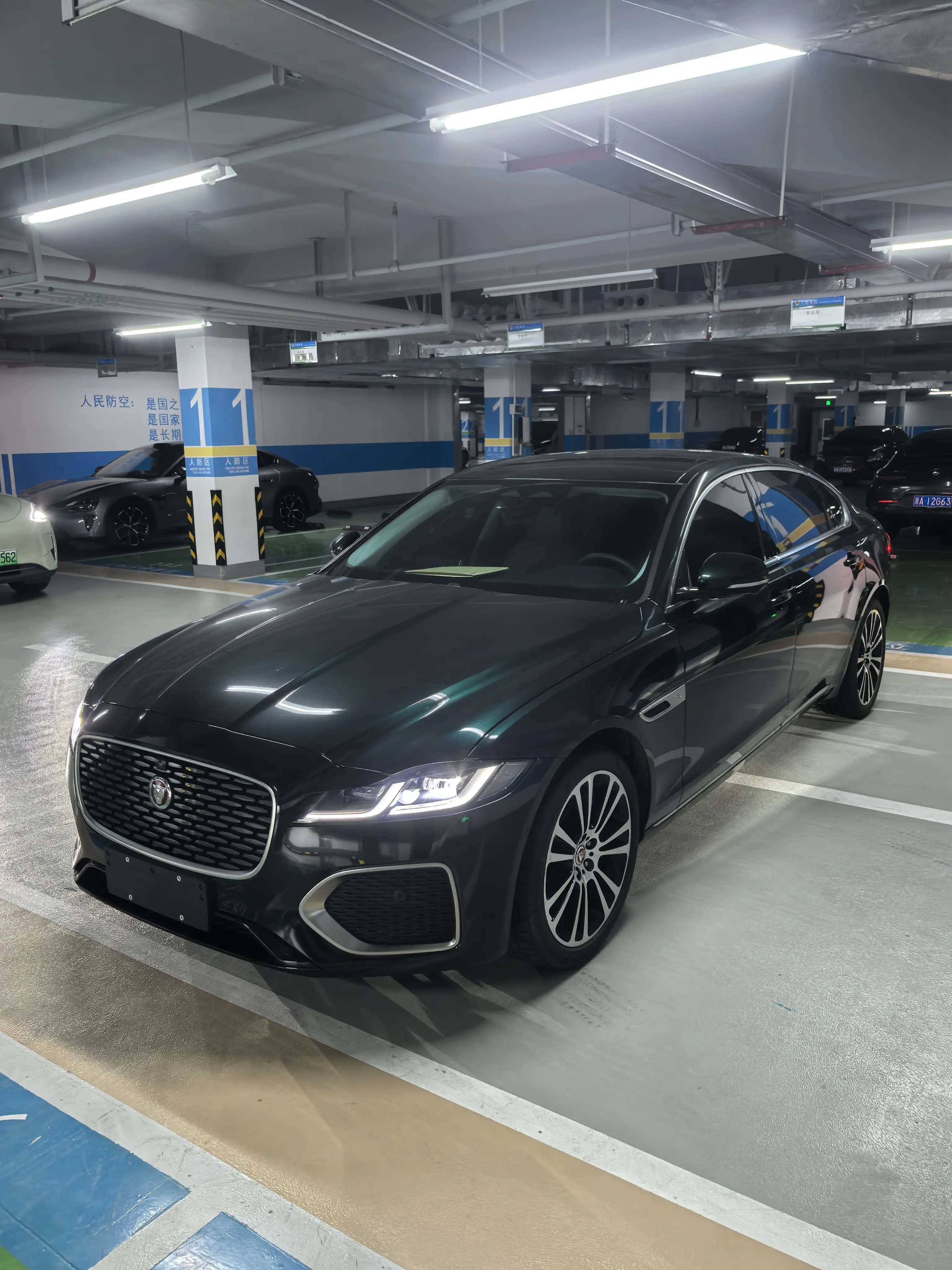Jaguar XFL