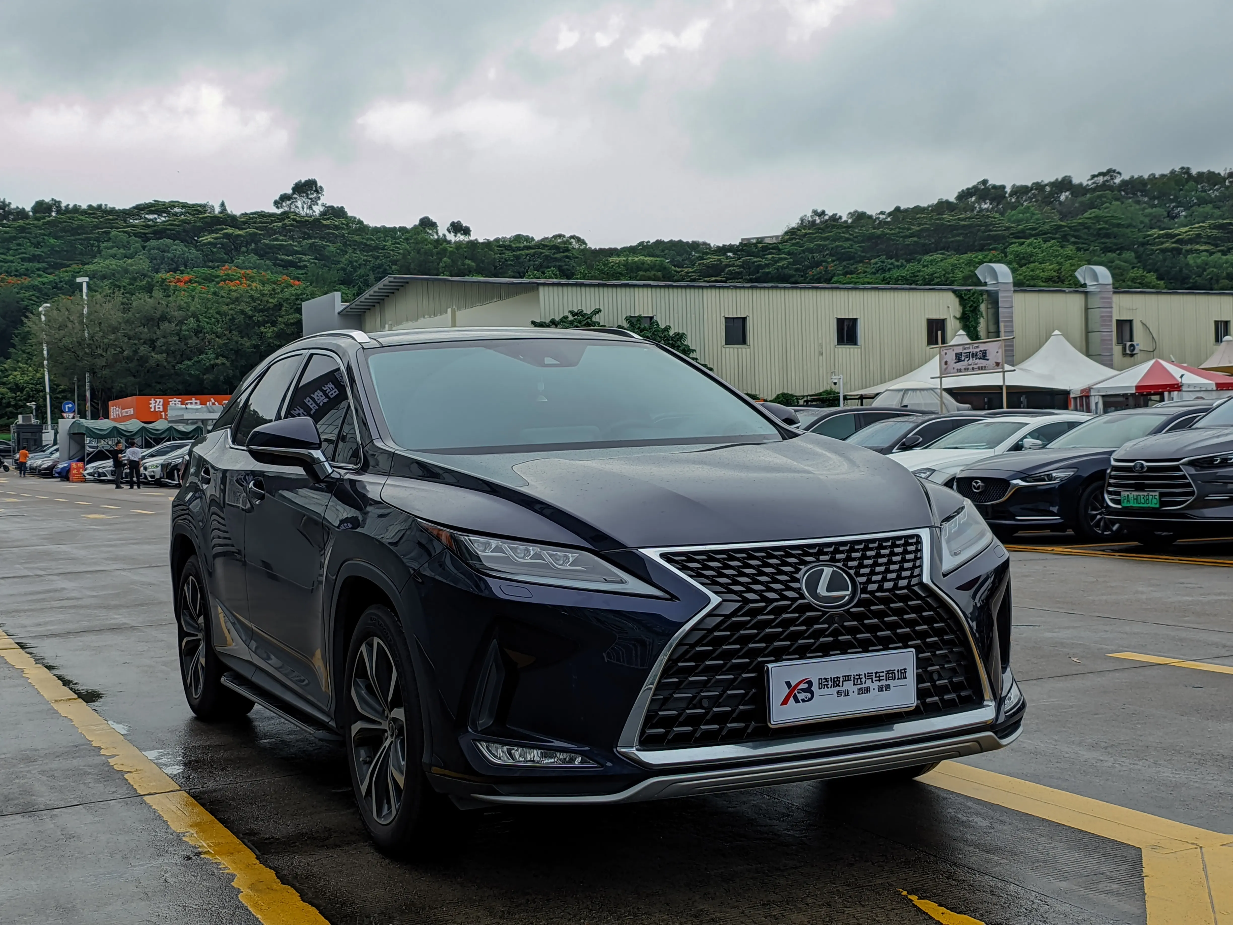 Lexus RX