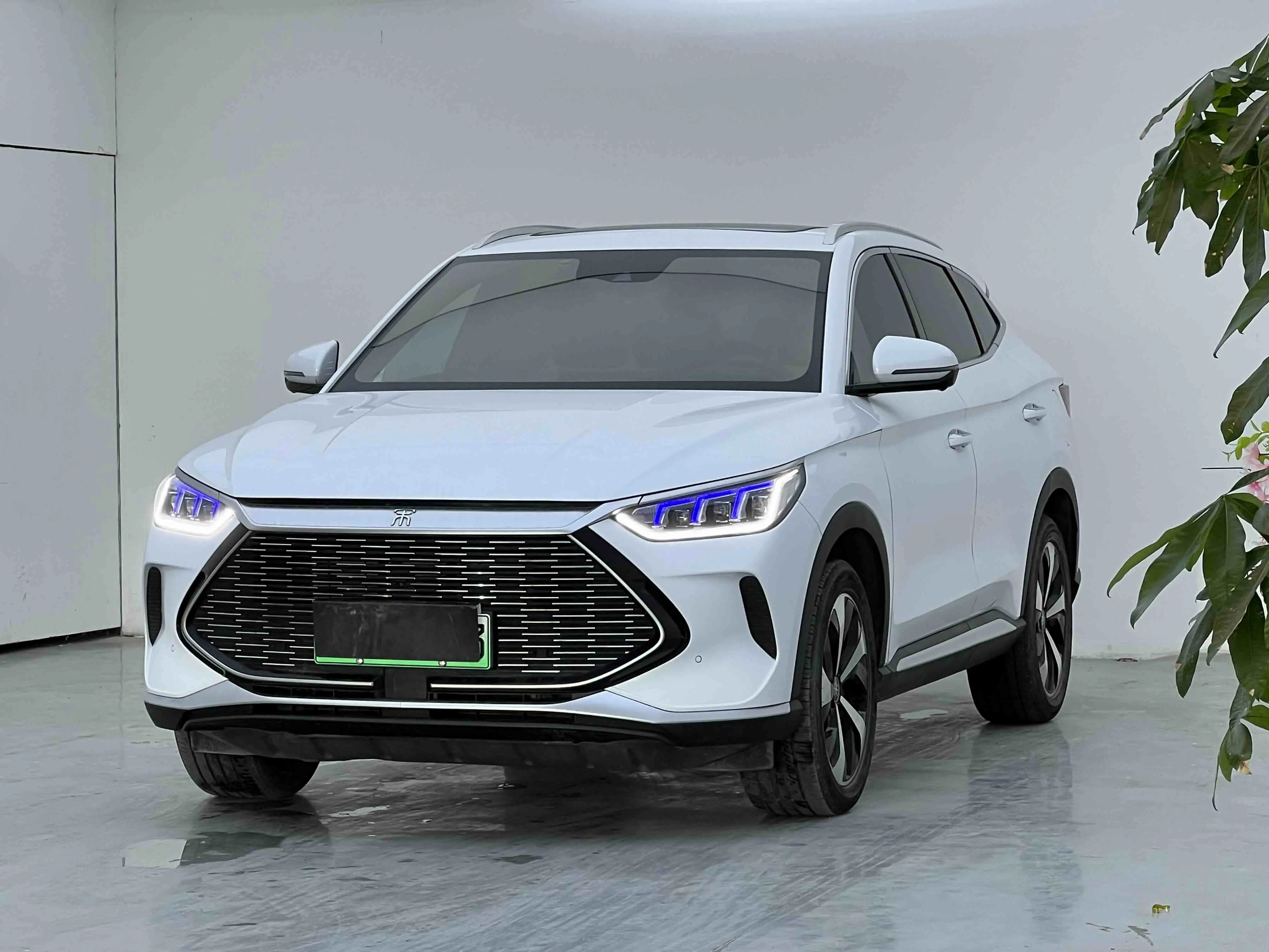 BYD Song PLUS DM
