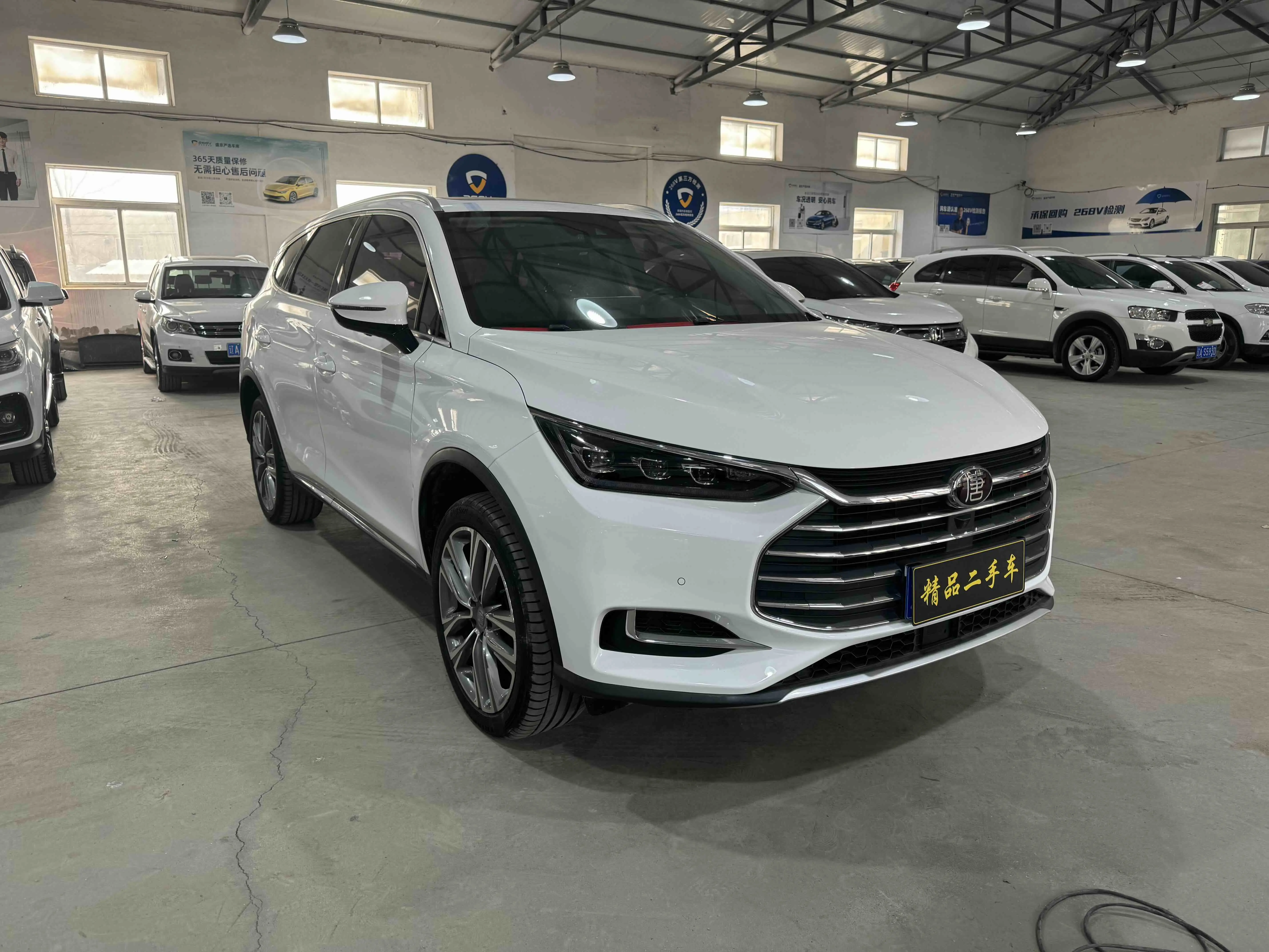 BYD Tang