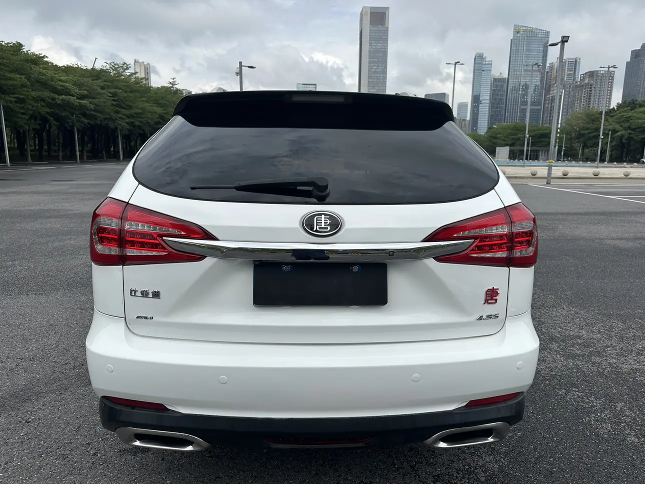 BYD Tang DM