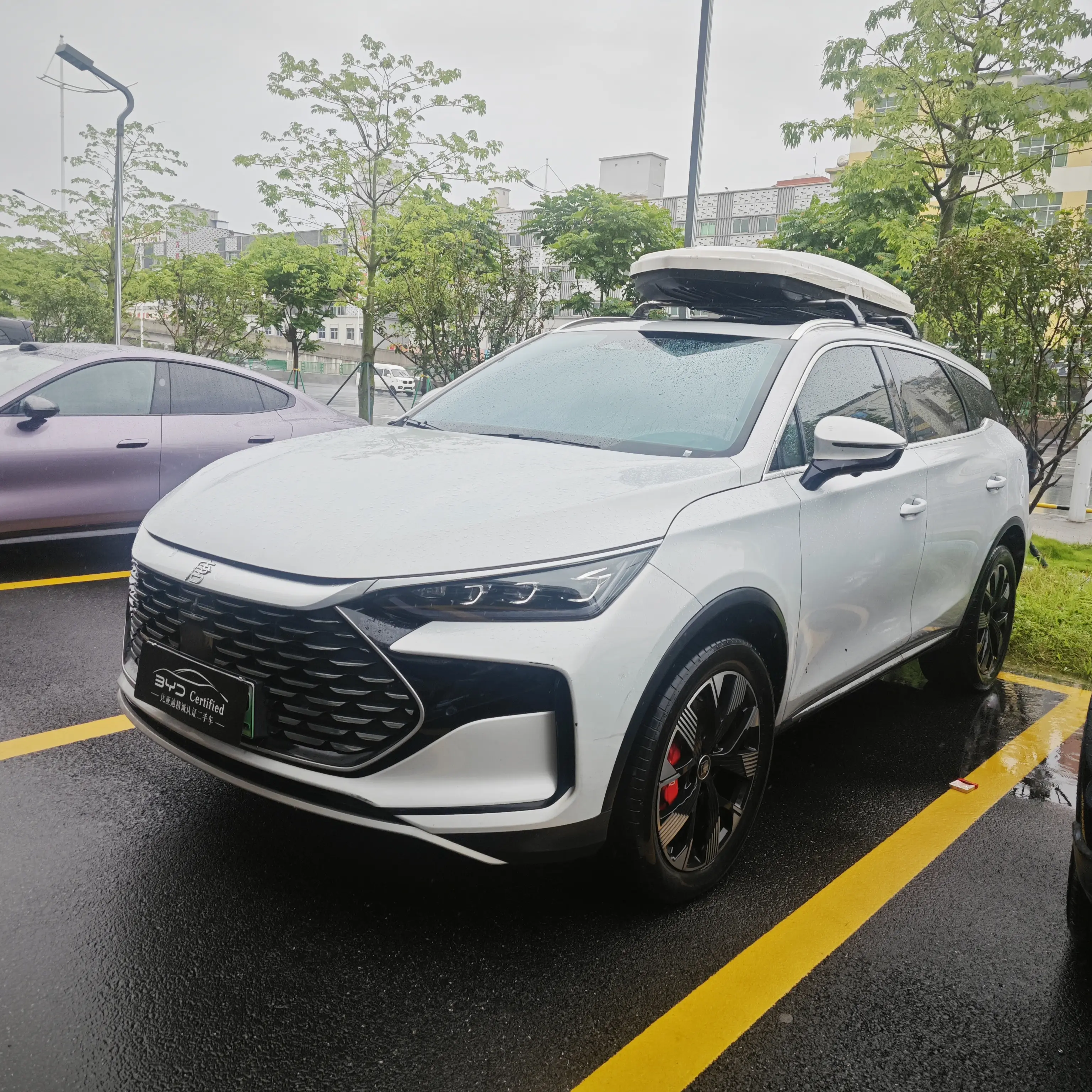 BYD Tang DM
