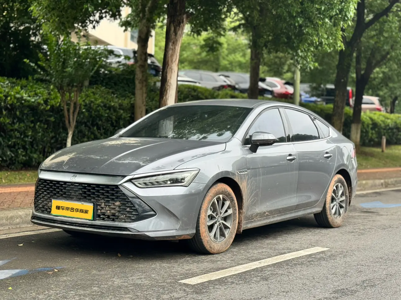 BYD Qin PLUS DM