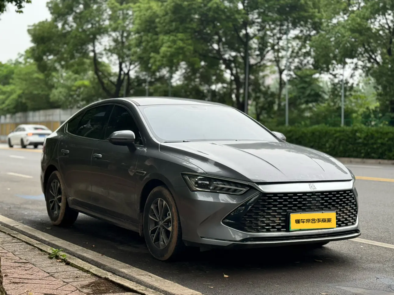 BYD Qin PLUS DM