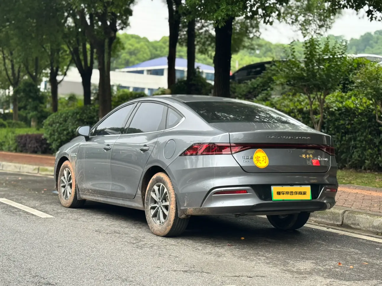 BYD Qin PLUS DM