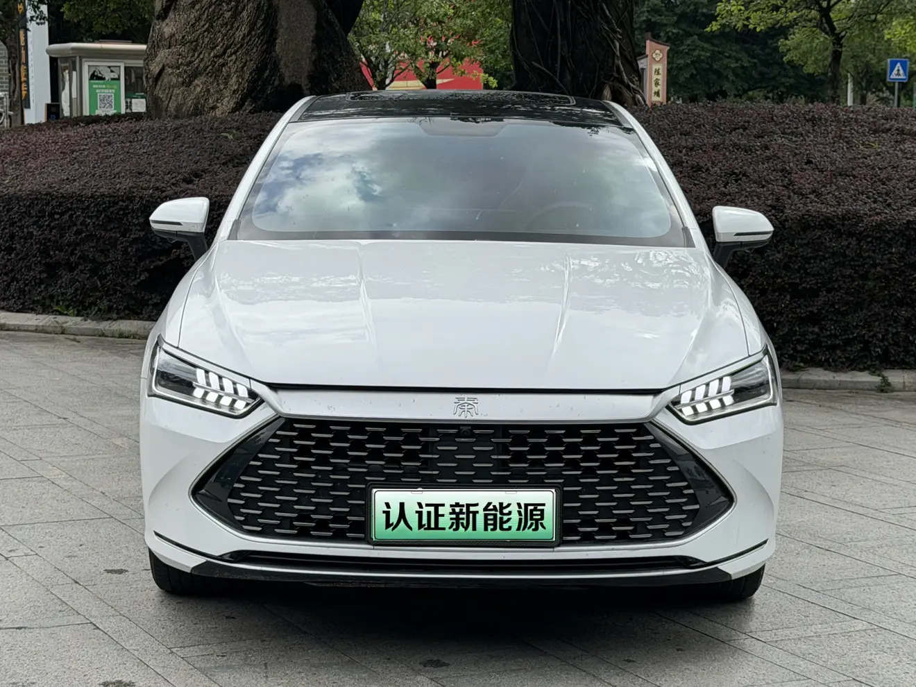 BYD Qin PLUS DM
