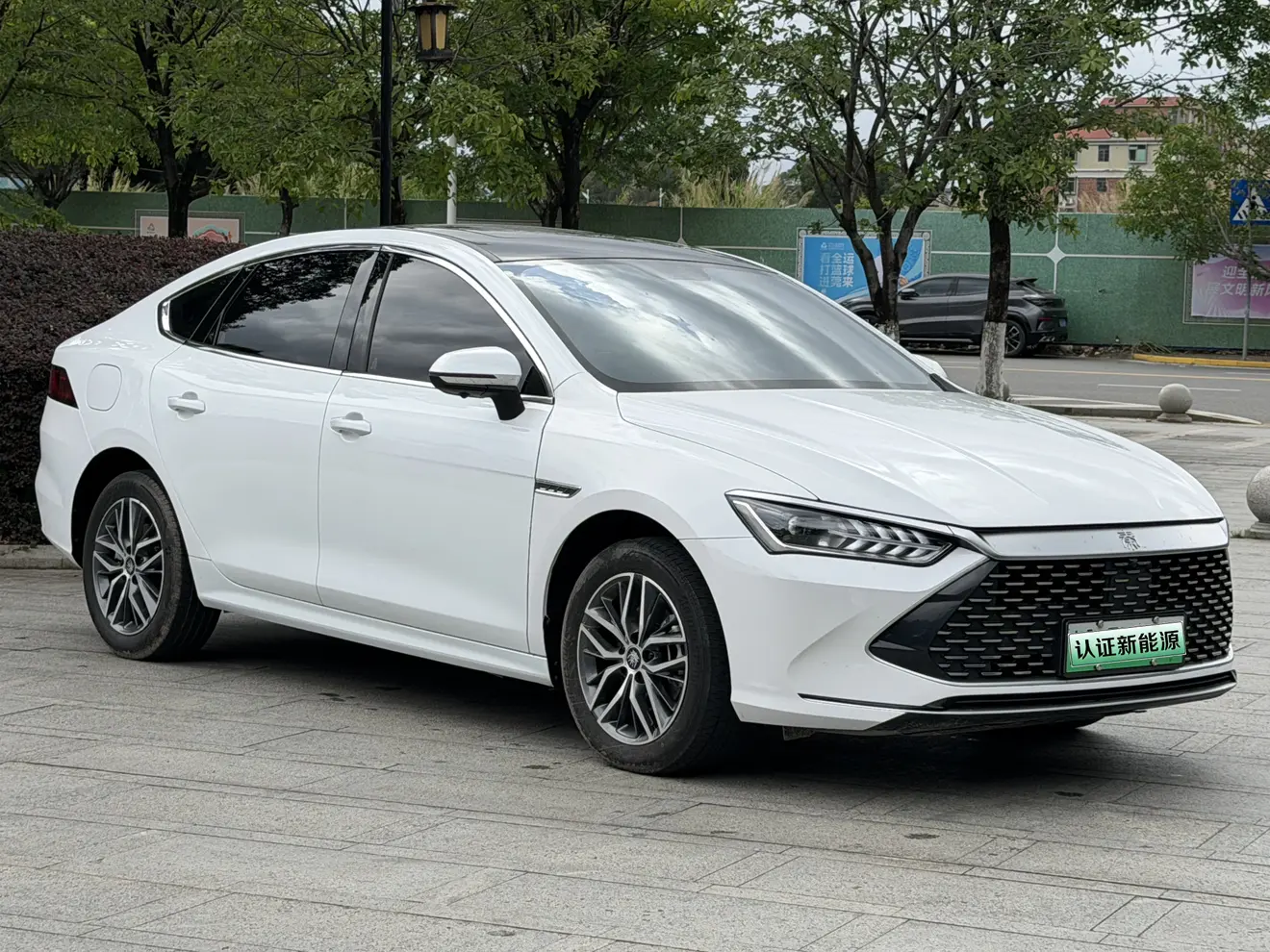 BYD Qin PLUS DM