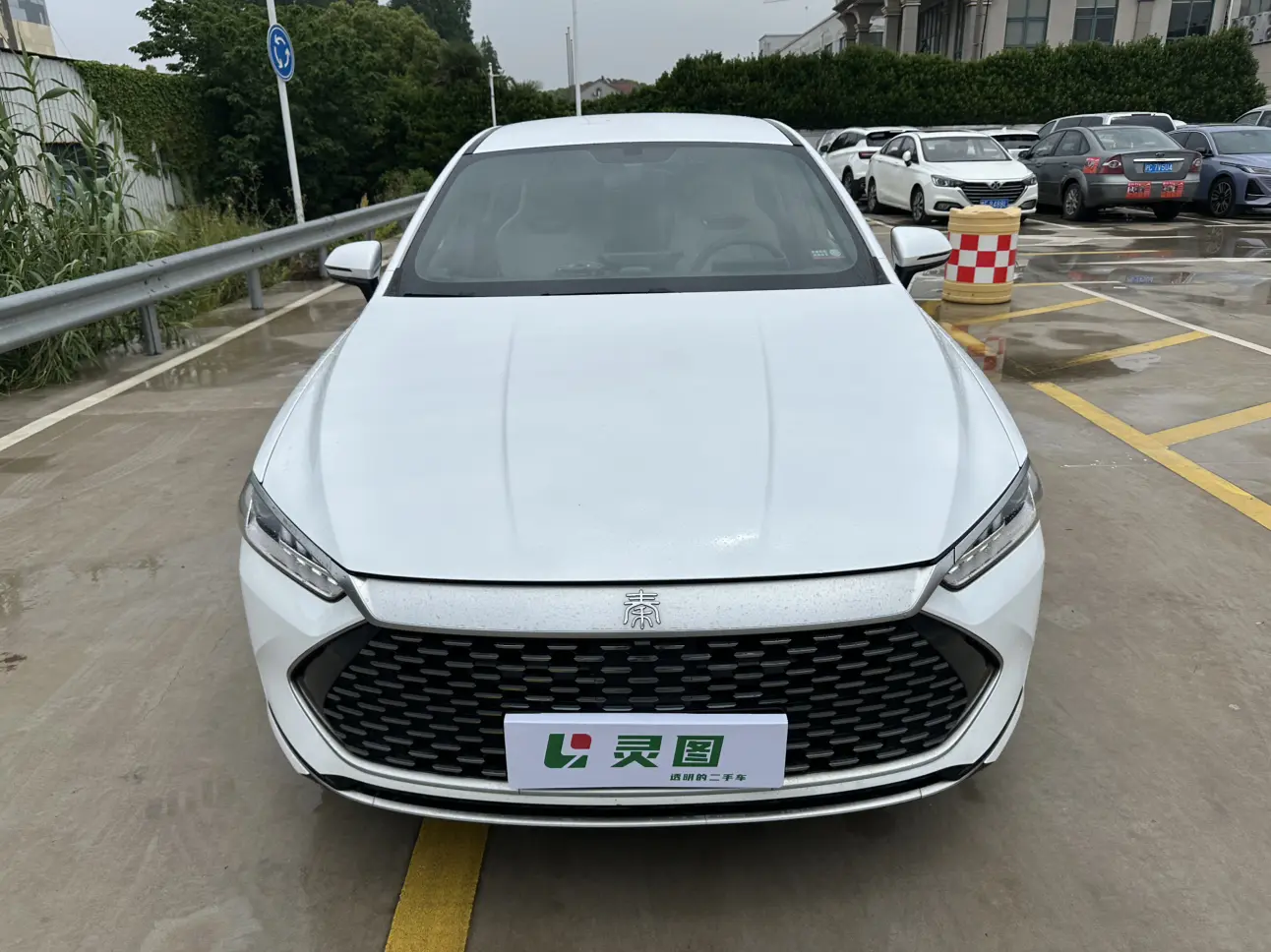BYD Qin PLUS DM