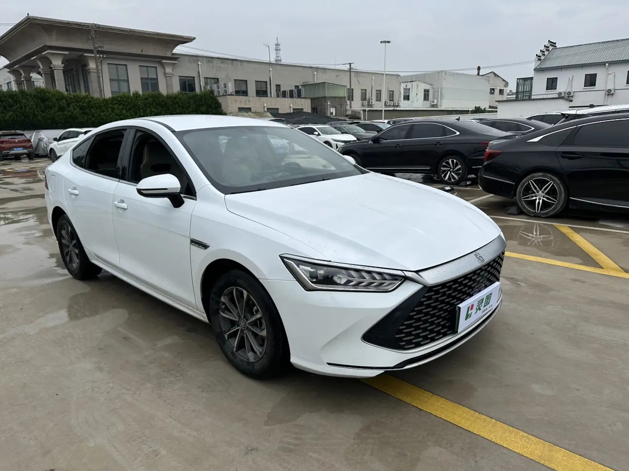 BYD Qin PLUS DM