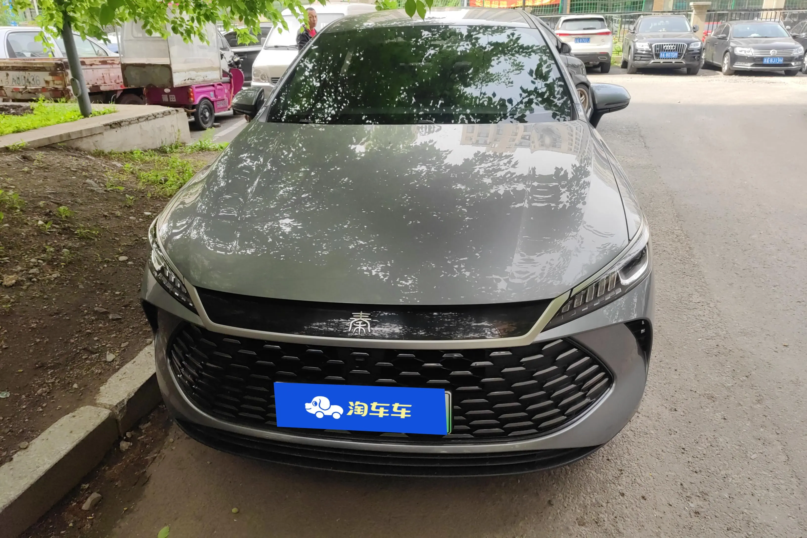 BYD Qin PLUS DM