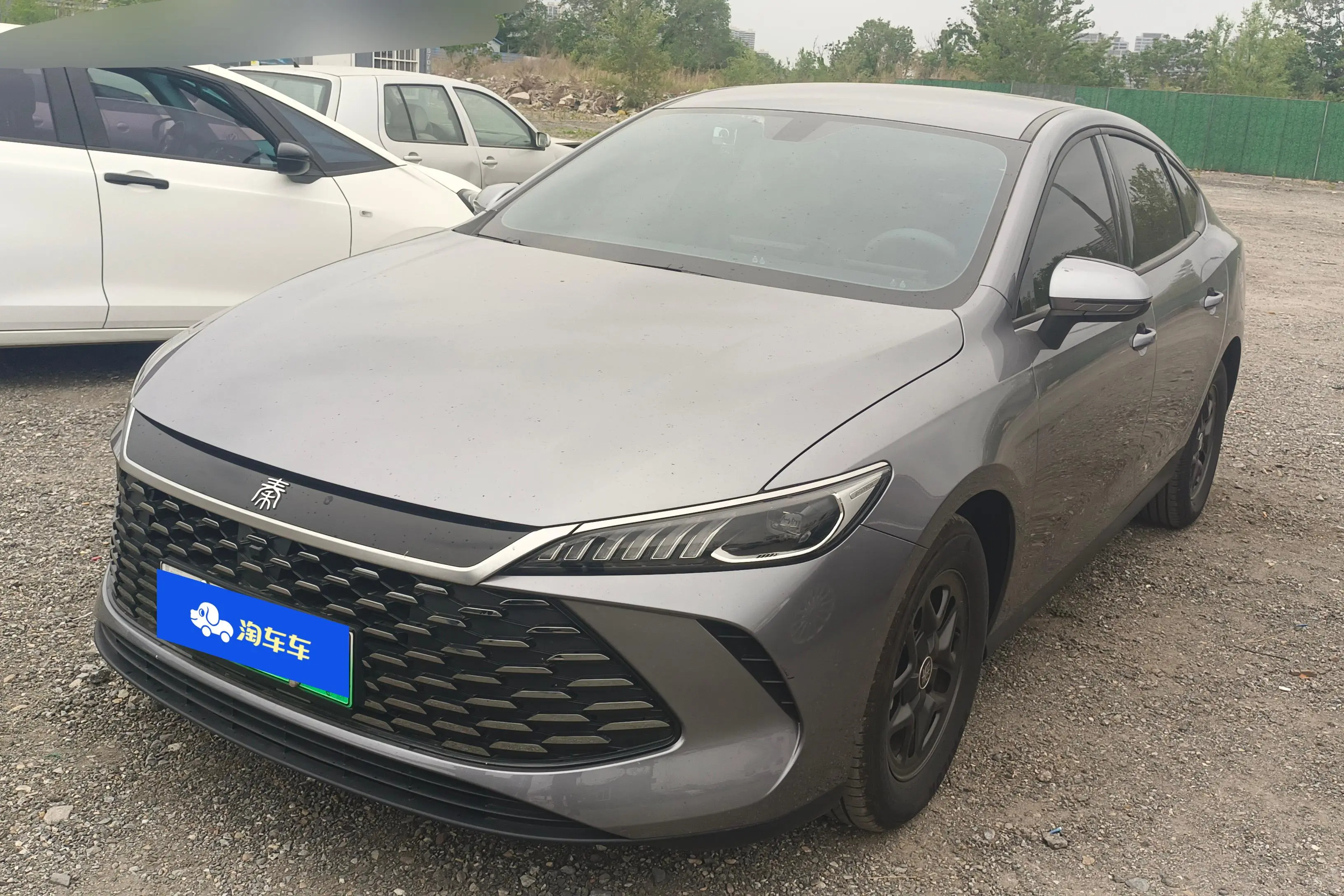 BYD Qin PLUS DM