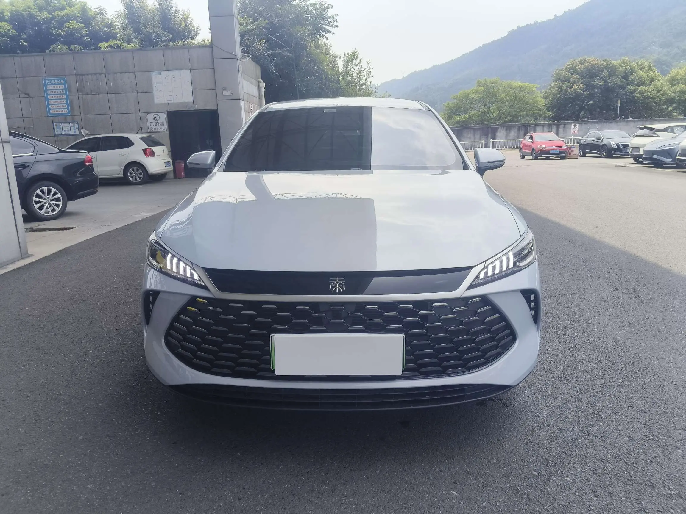 BYD Qin PLUS DM