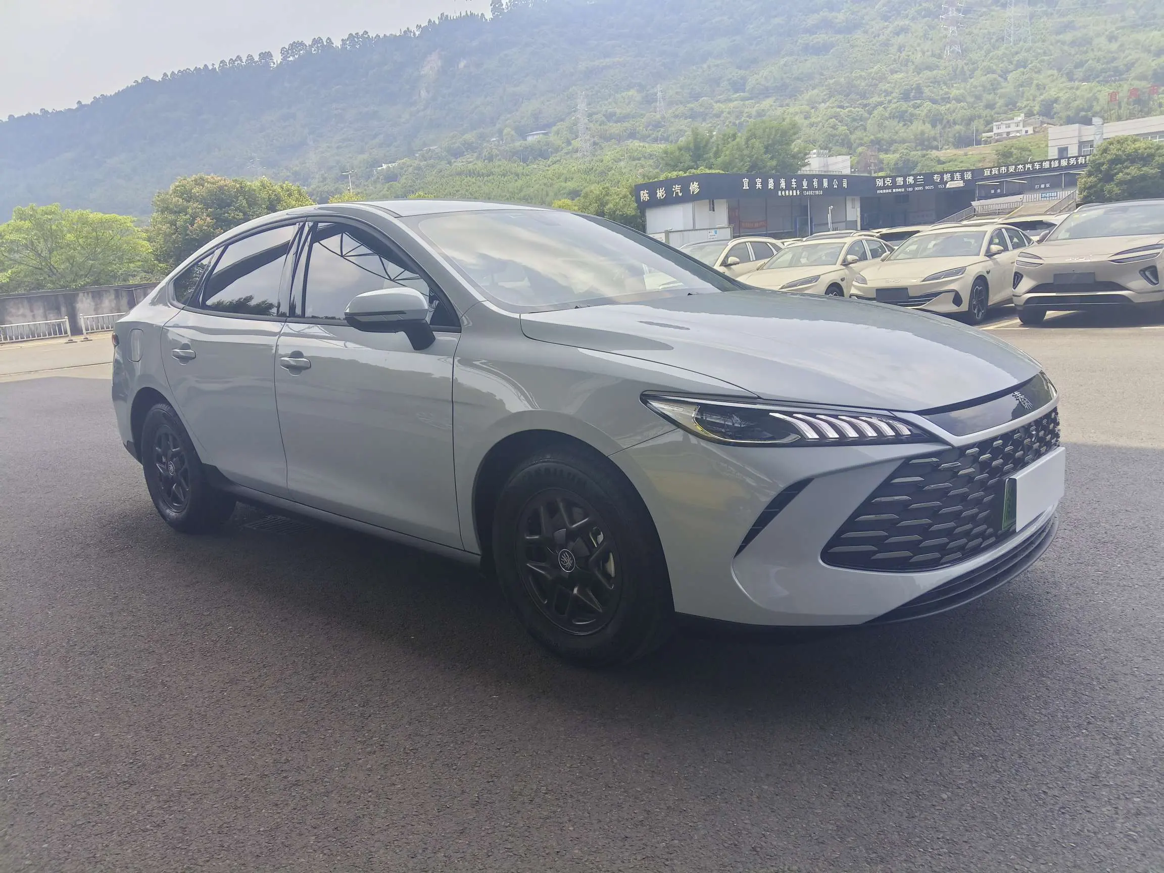 BYD Qin PLUS DM