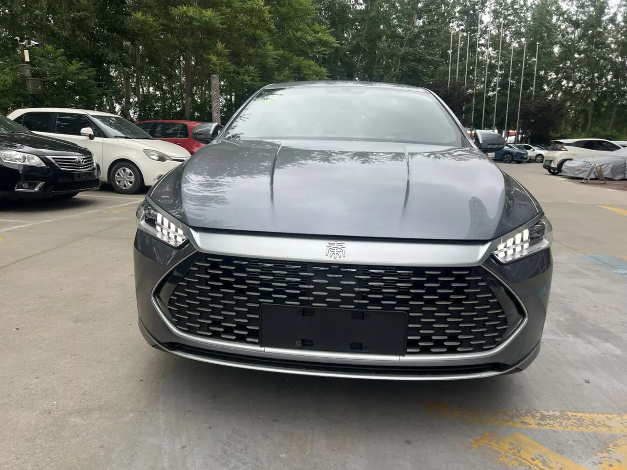 BYD Qin PLUS DM