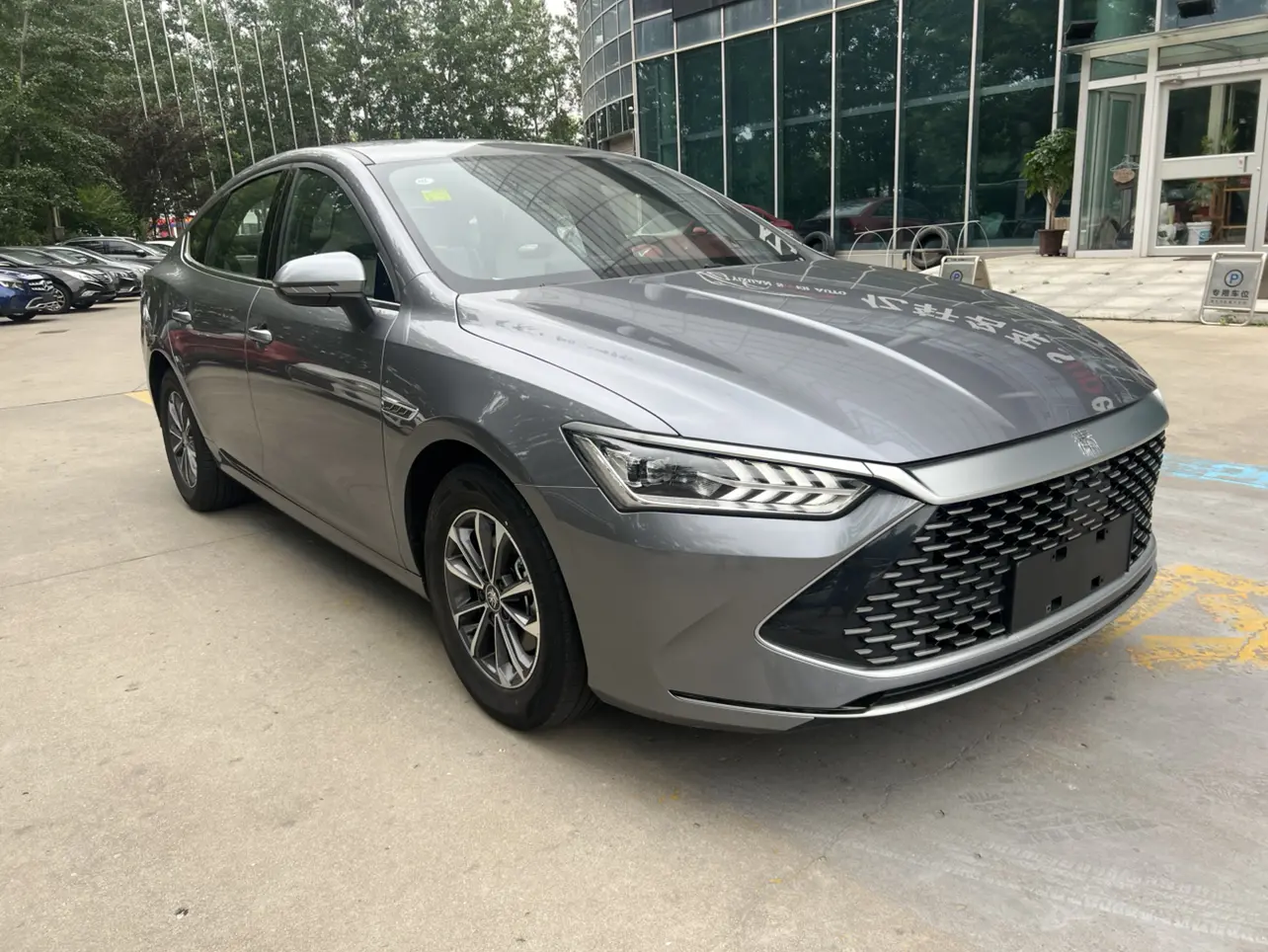 BYD Qin PLUS DM