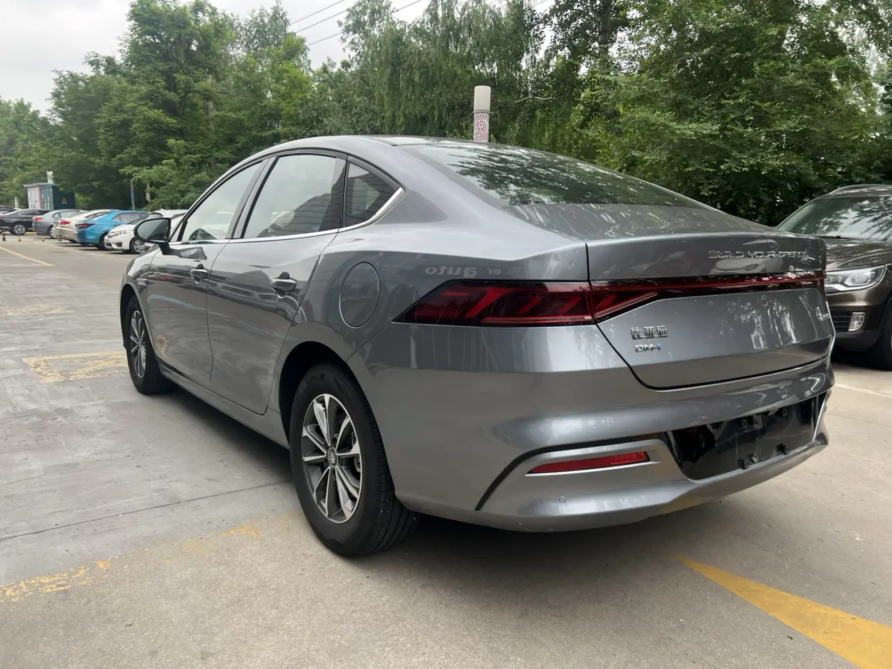 BYD Qin PLUS DM