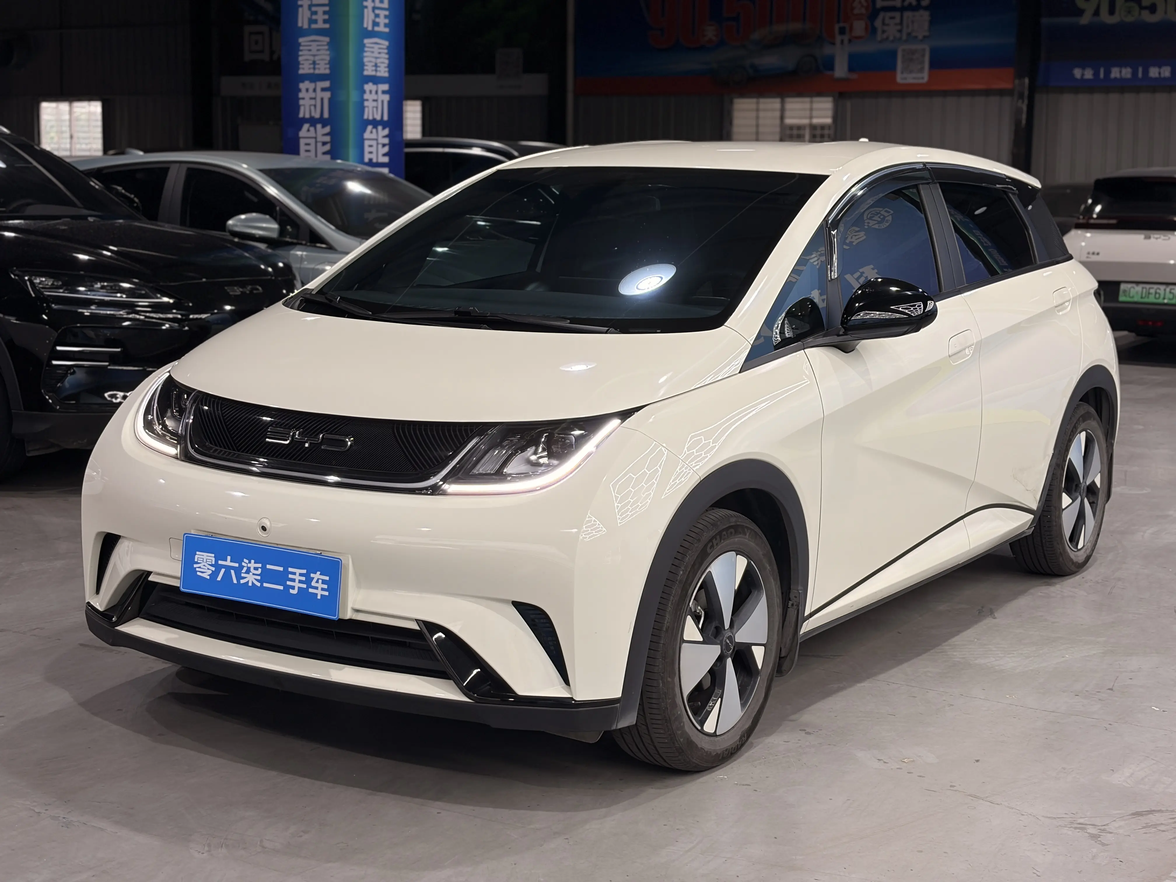 BYD Dolphin