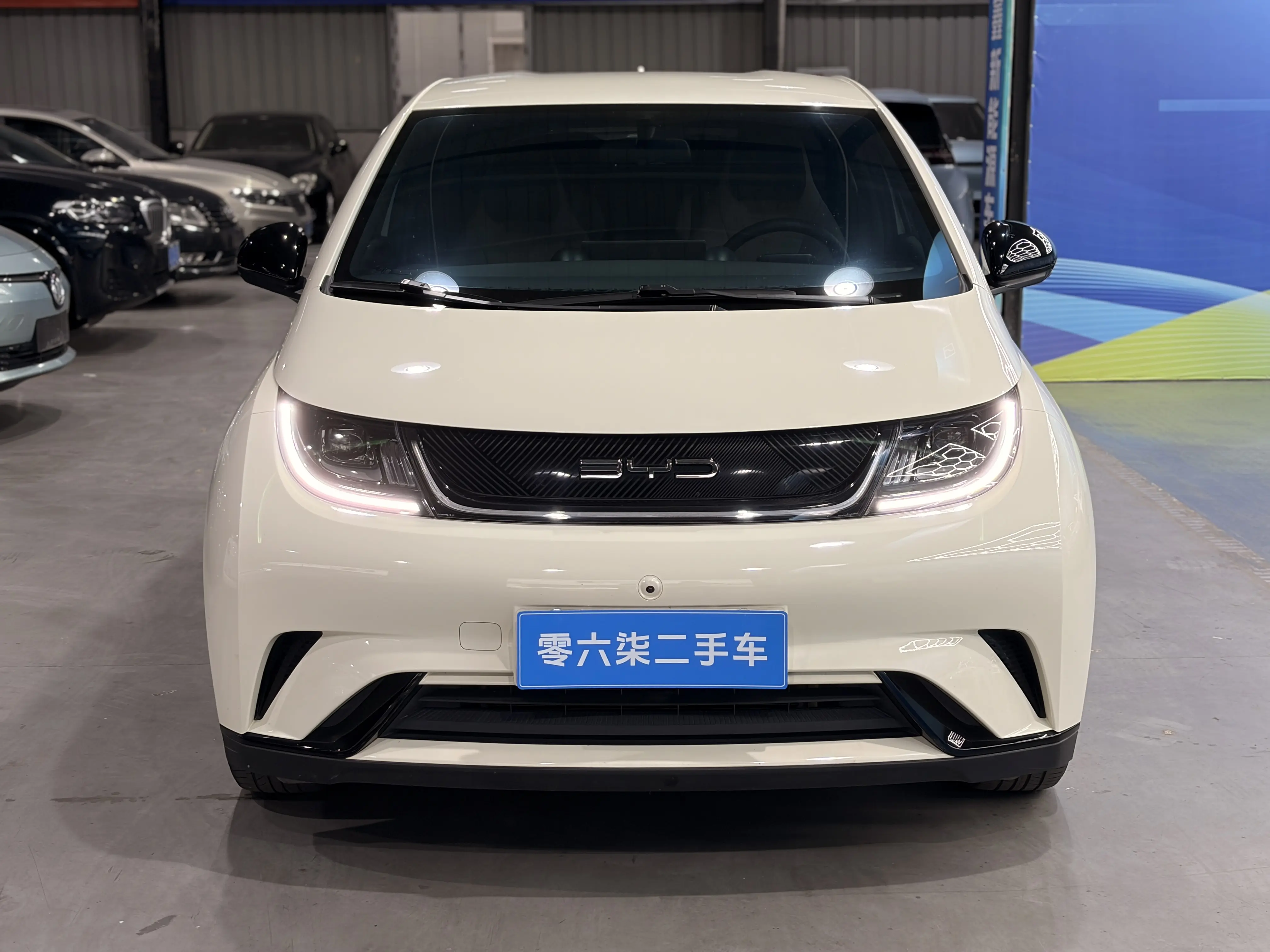 BYD Dolphin