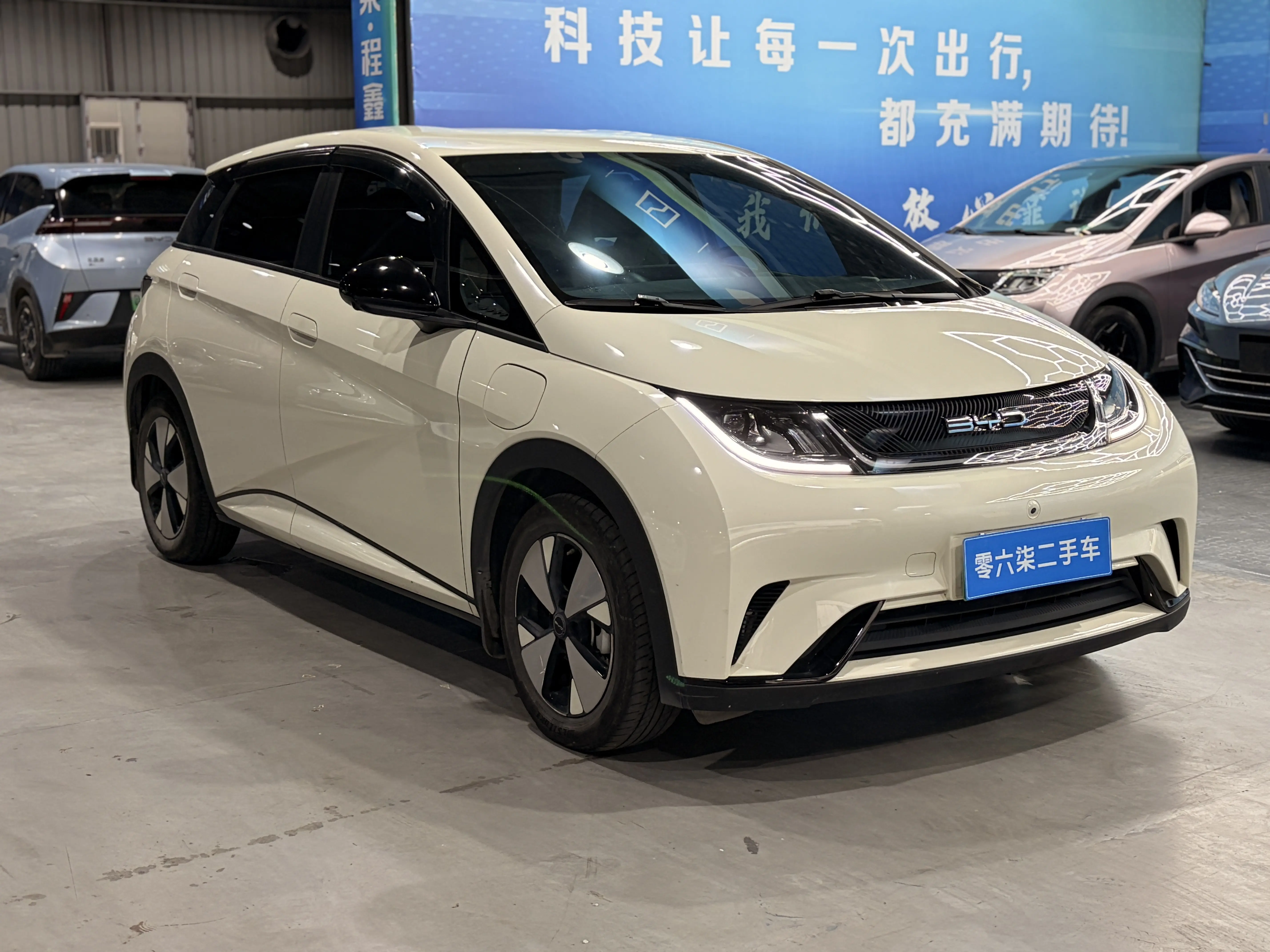 BYD Dolphin