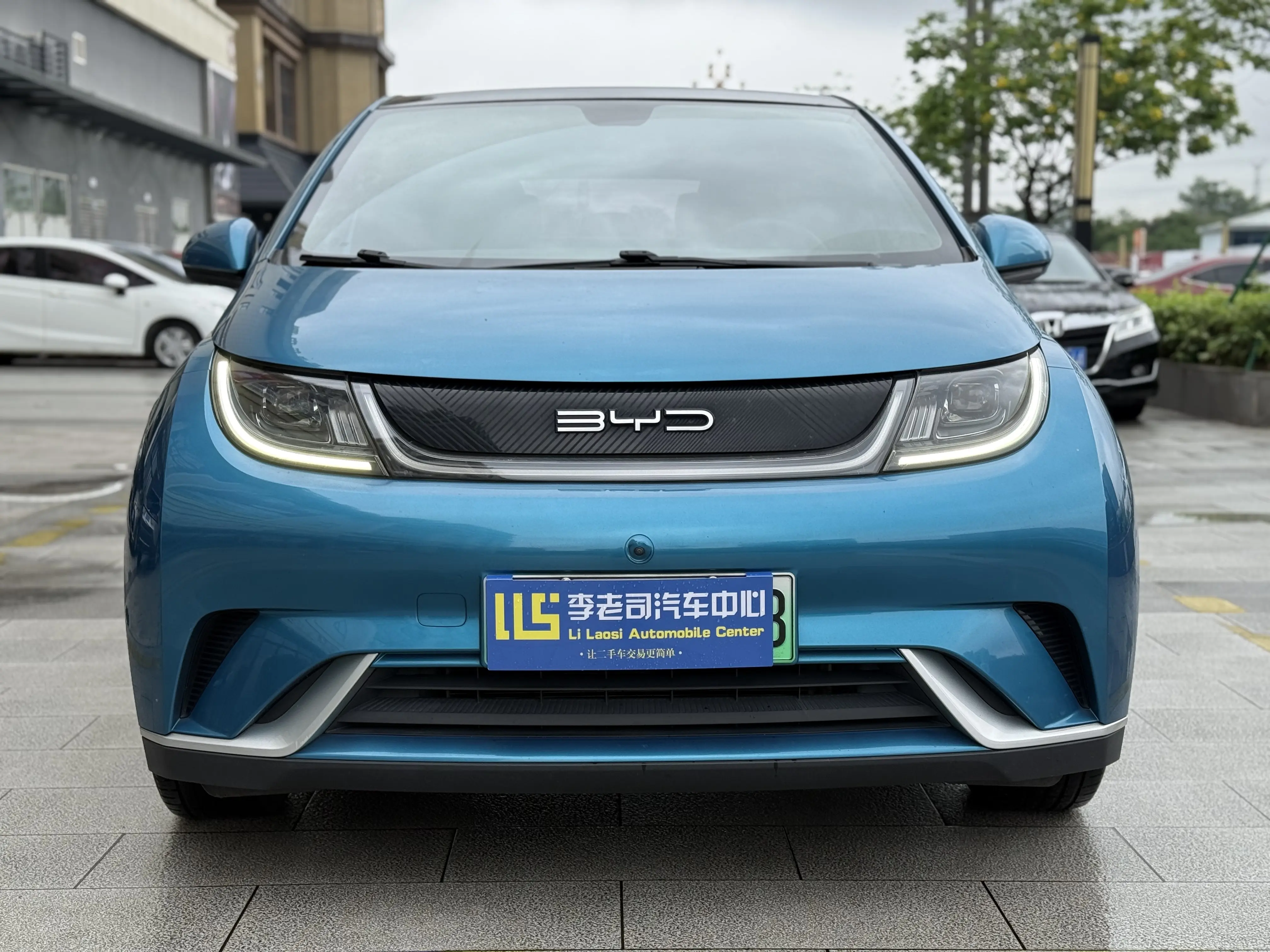 BYD Dolphin