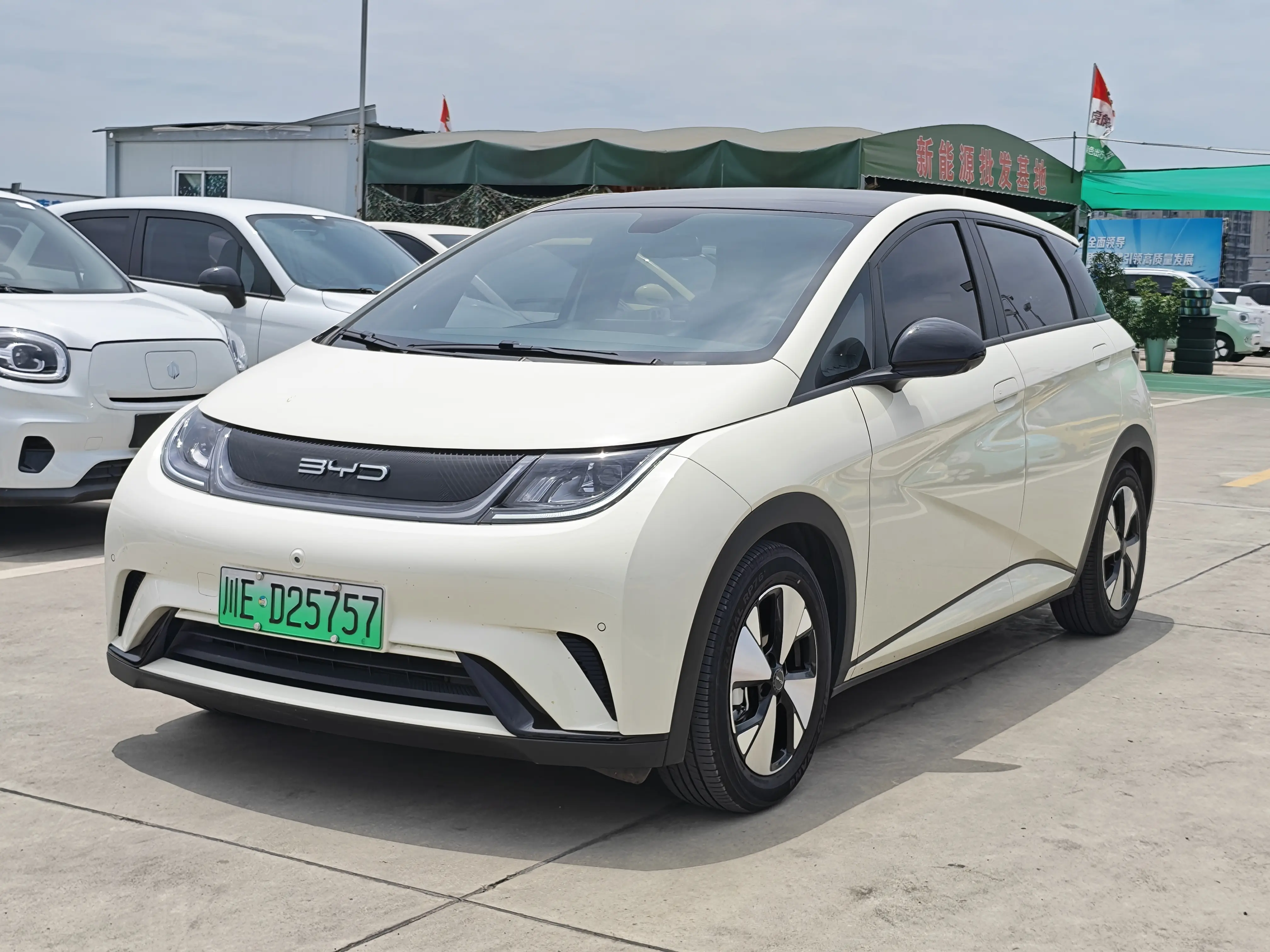 BYD Dolphin