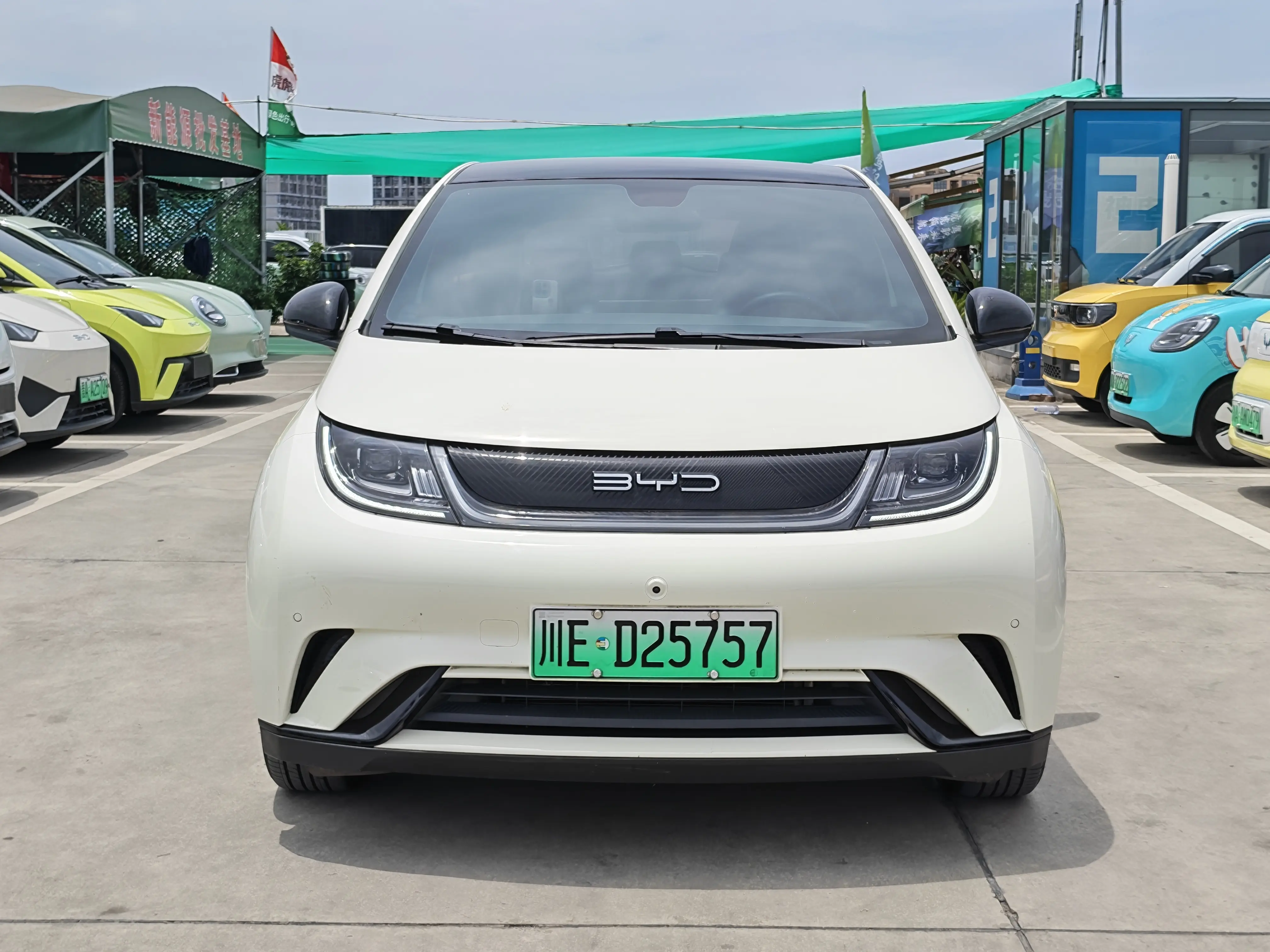 BYD Dolphin