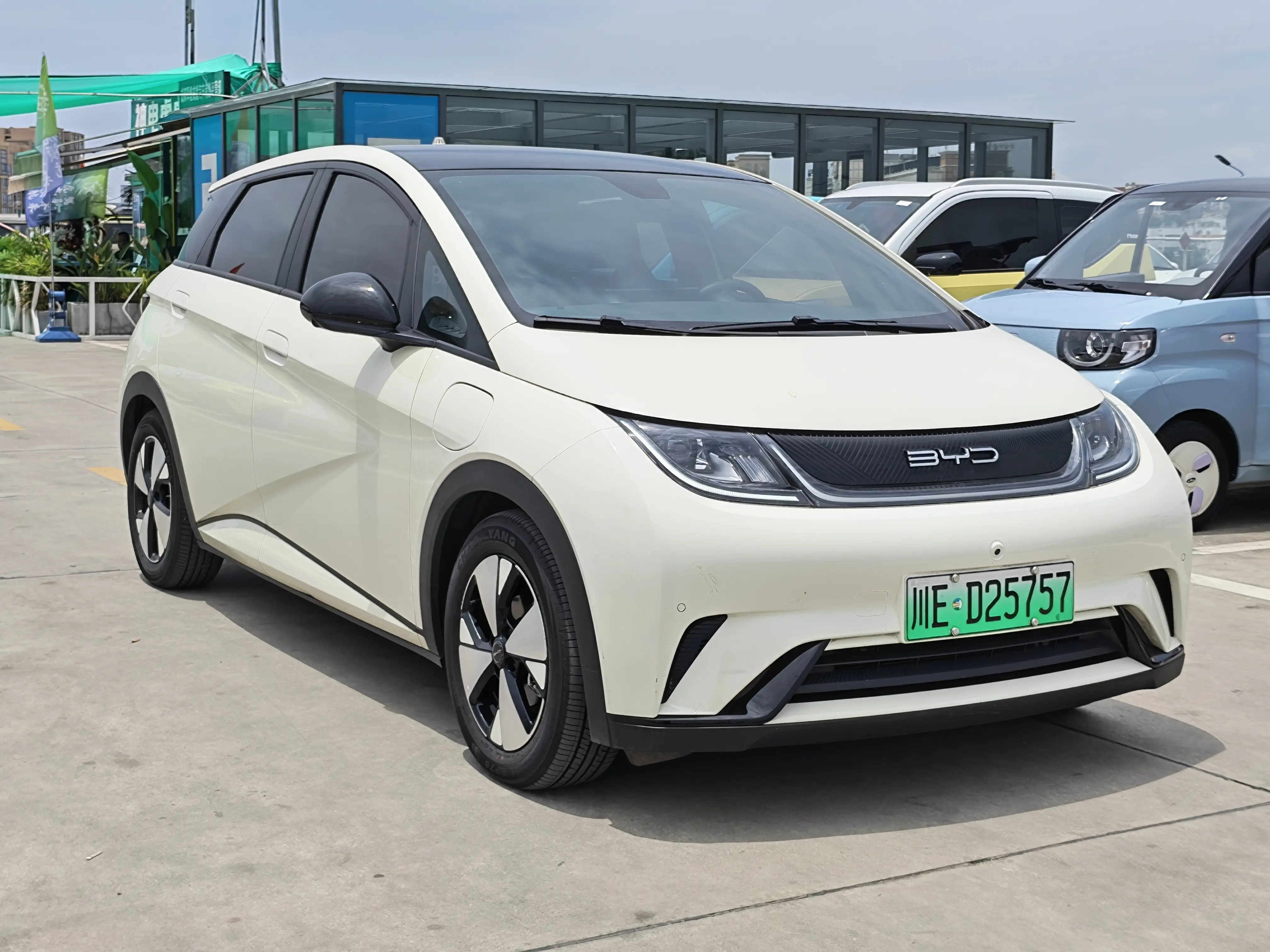 BYD Dolphin