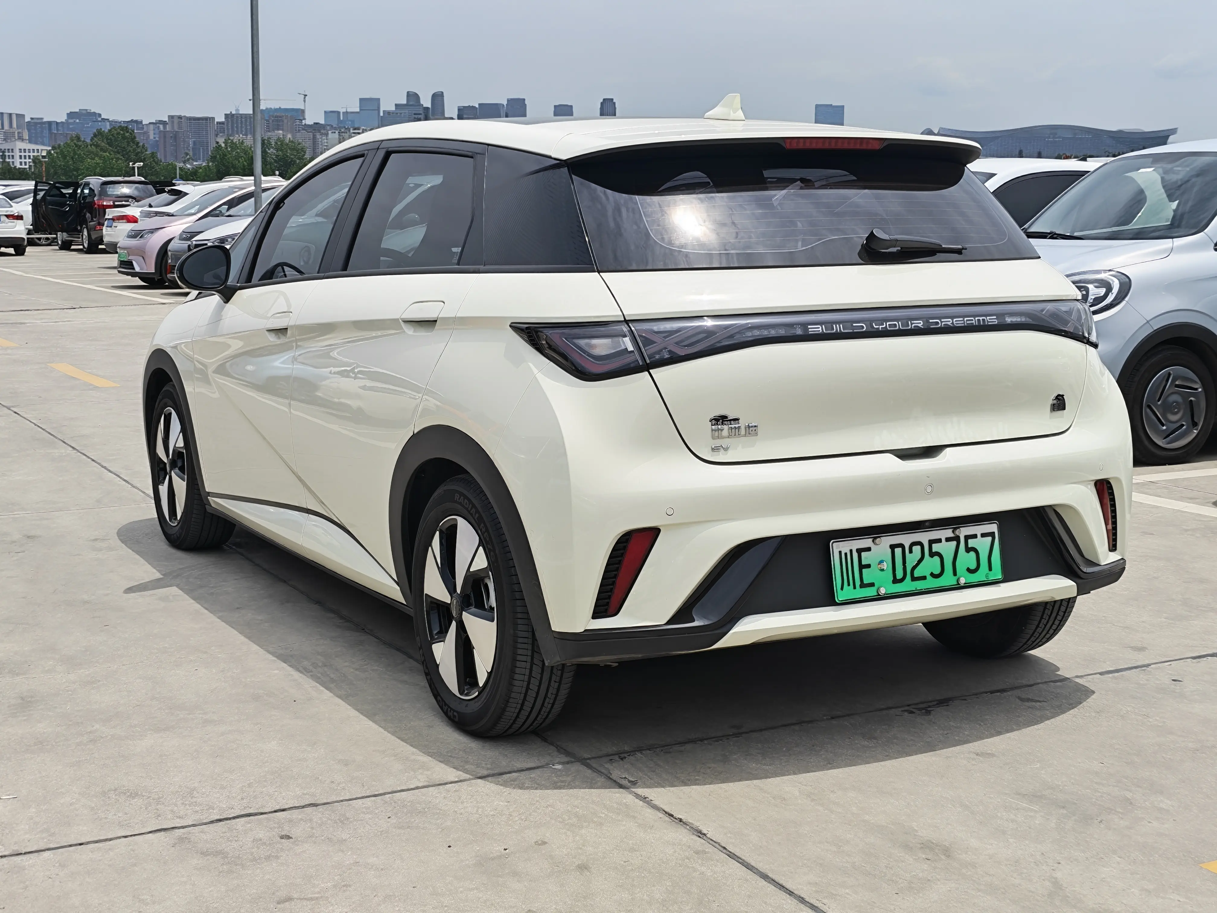BYD Dolphin
