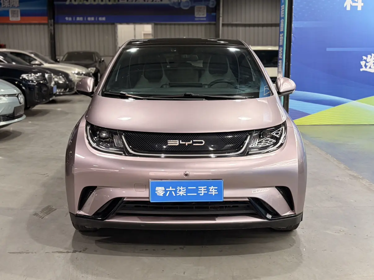 BYD Dolphin