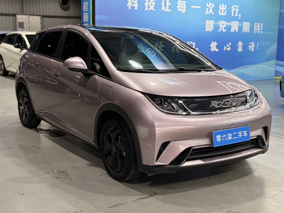 BYD Dolphin