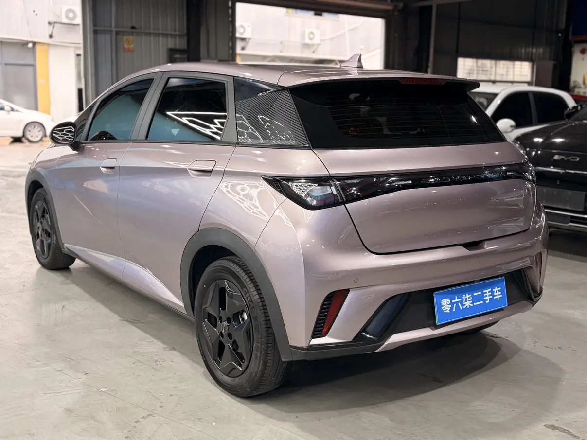 BYD Dolphin