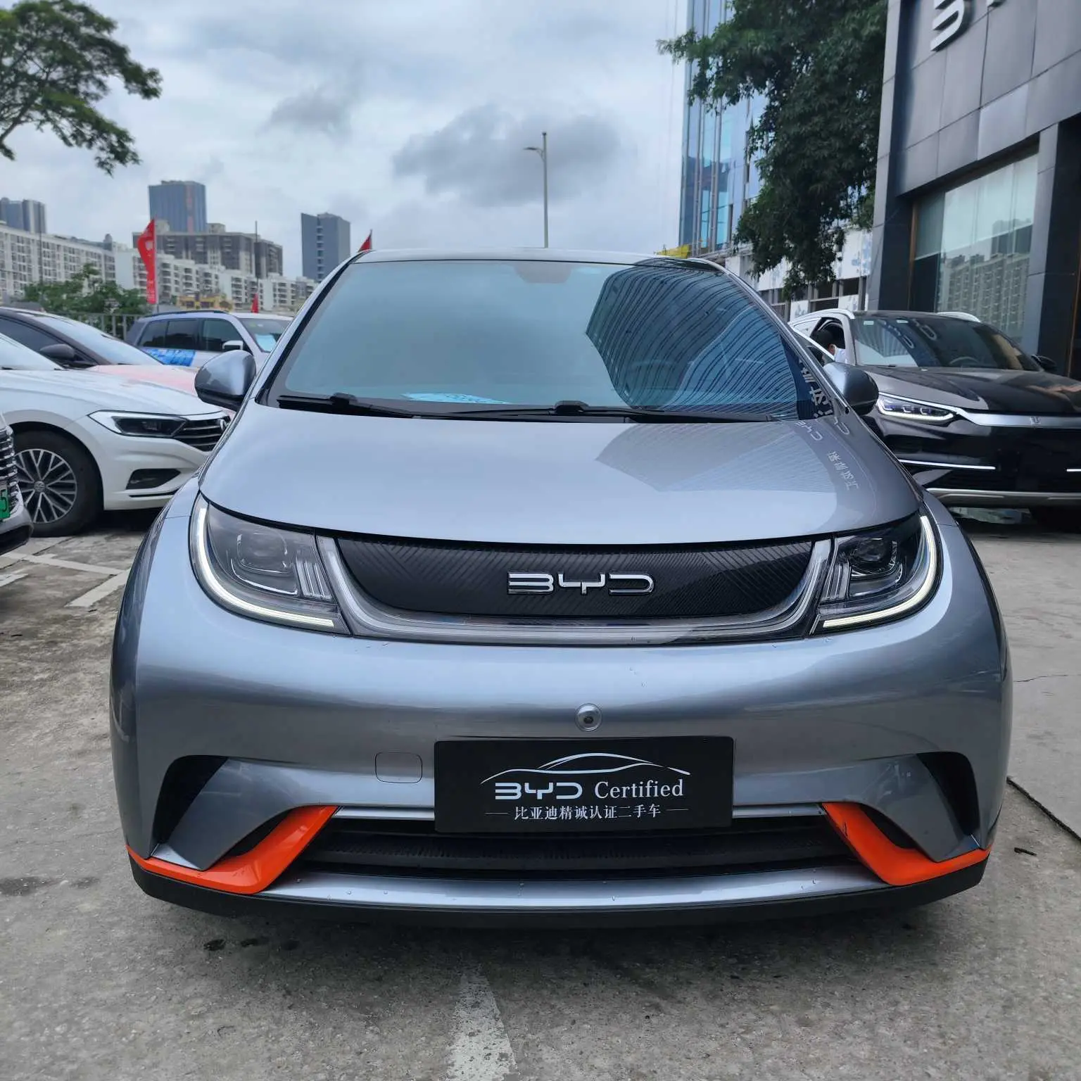 BYD Dolphin