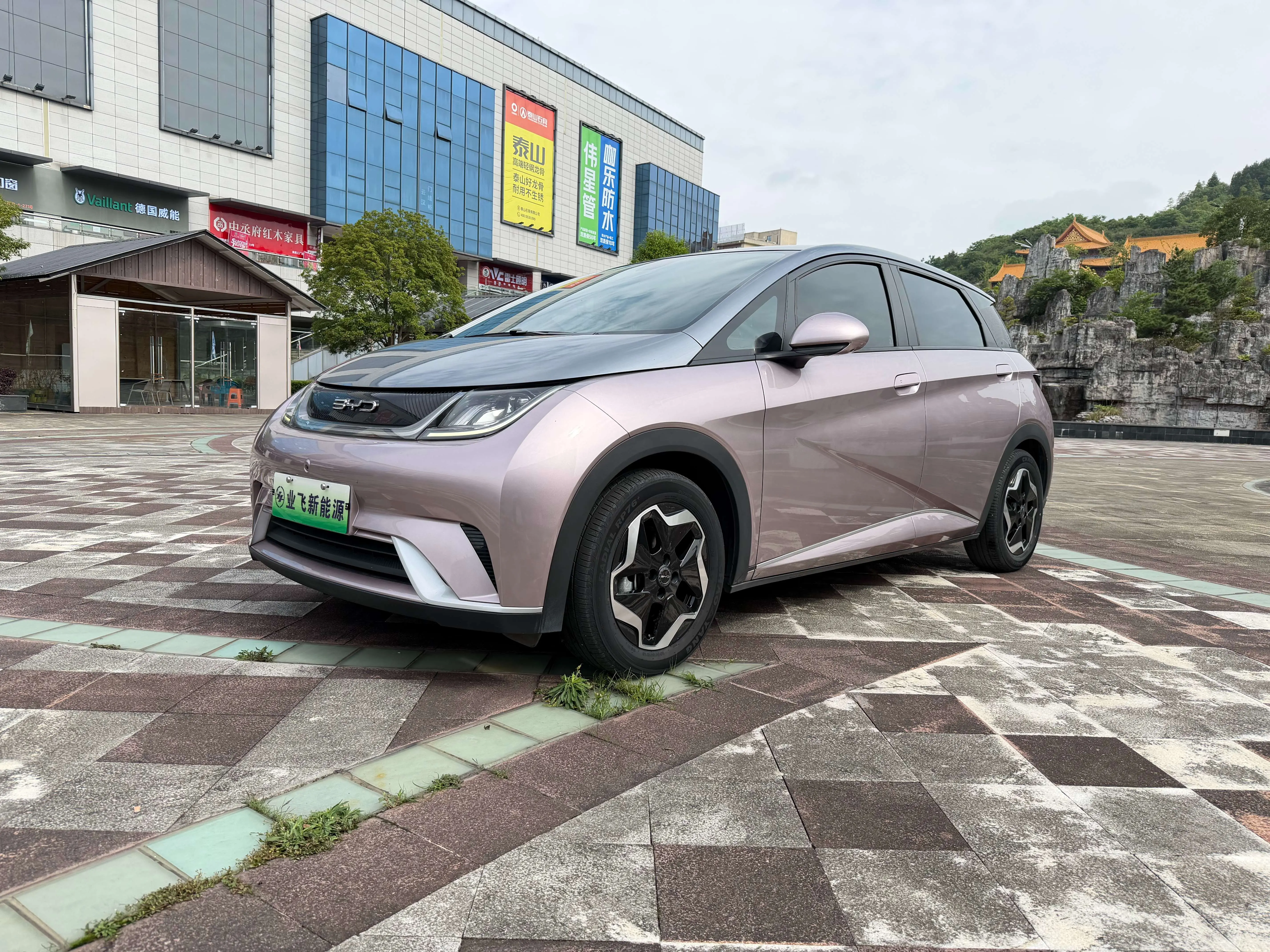 BYD Dolphin