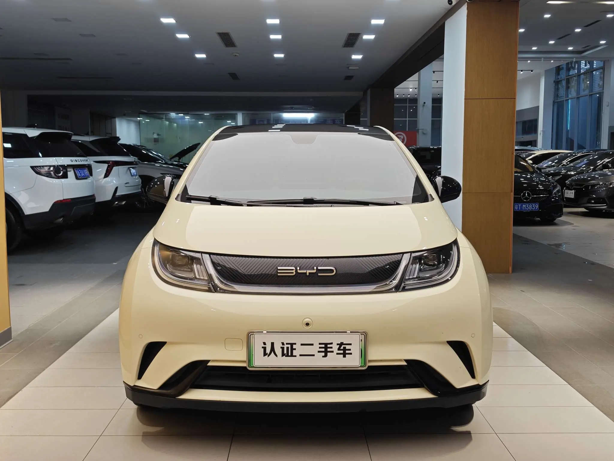 BYD Dolphin
