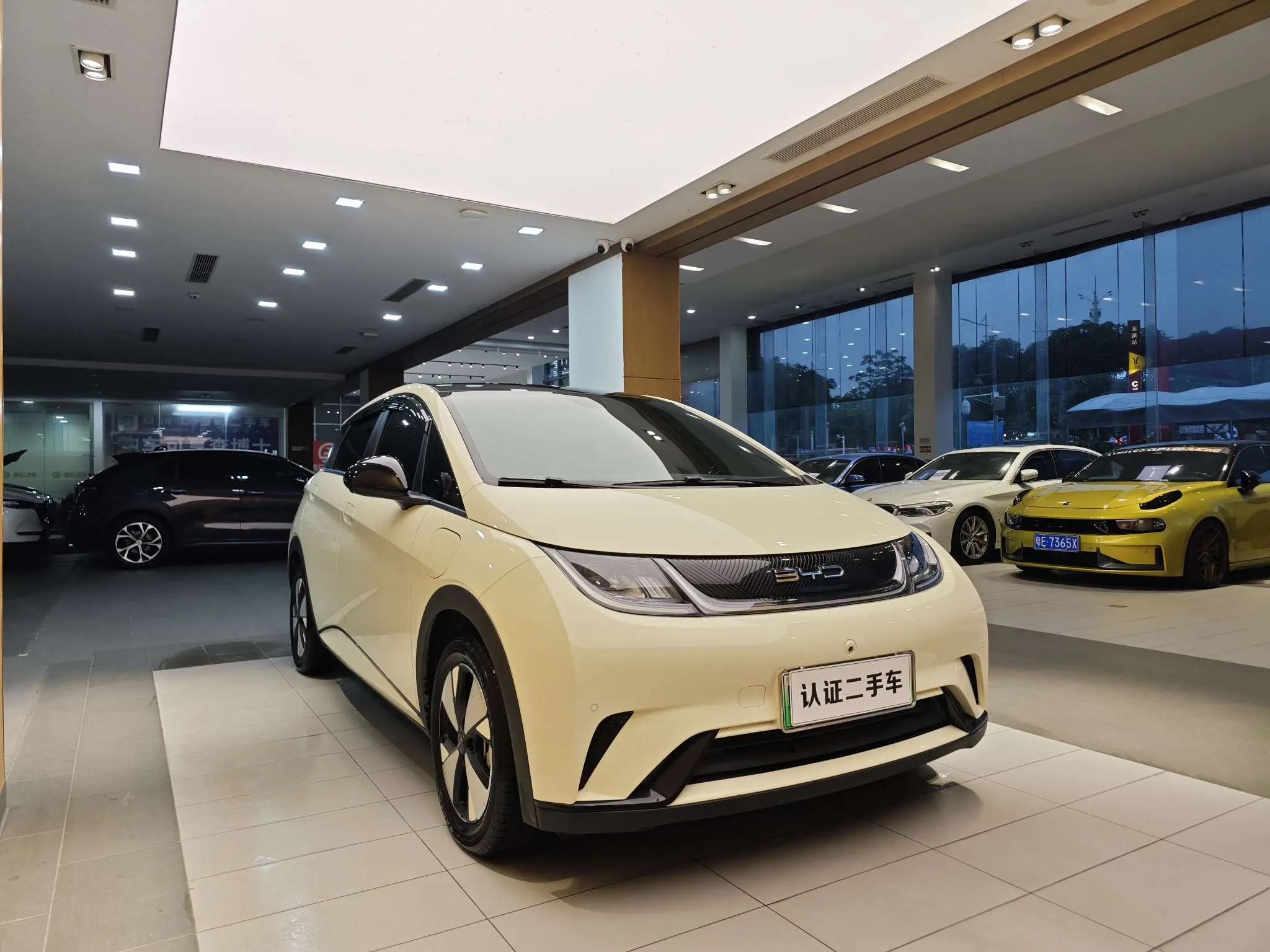 BYD Dolphin