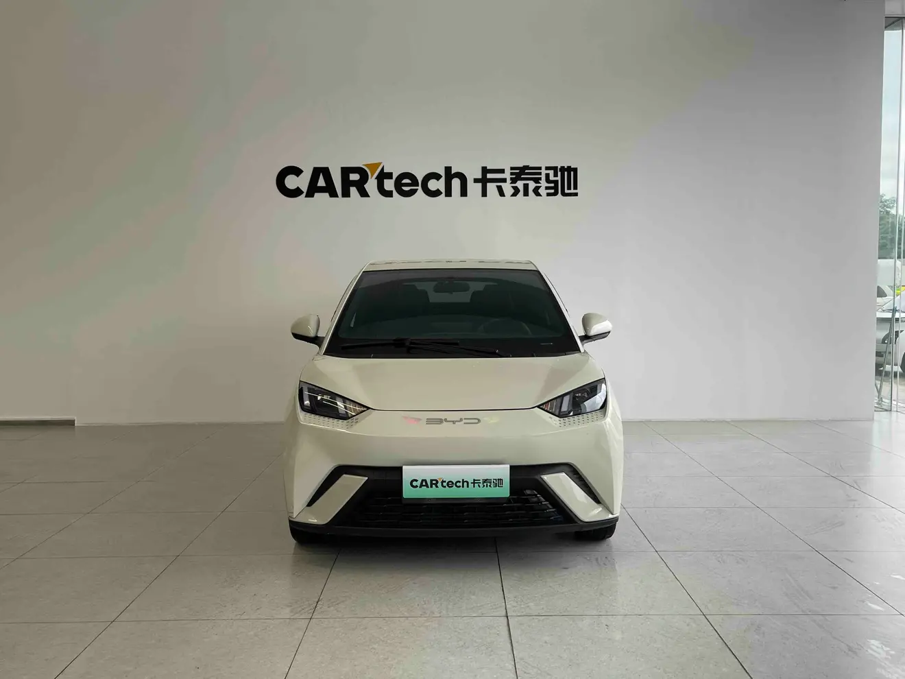 BYD Seagull