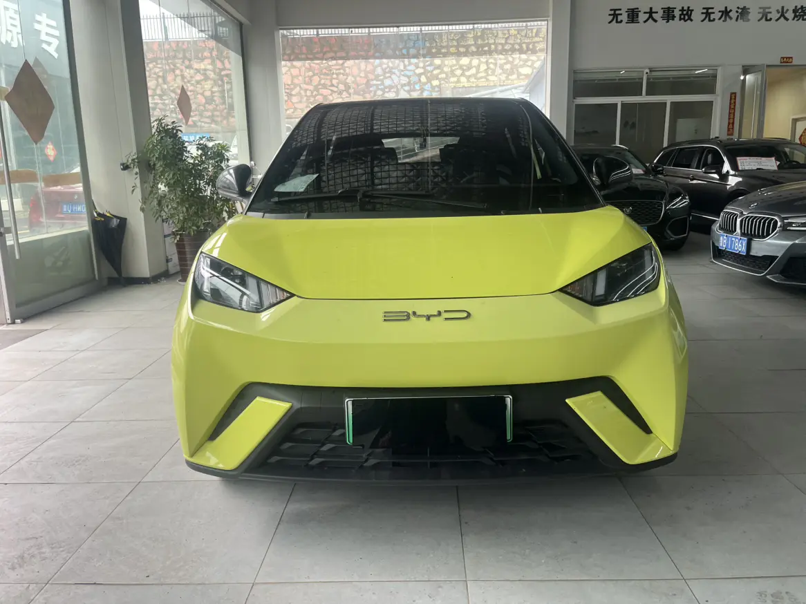 BYD Seagull