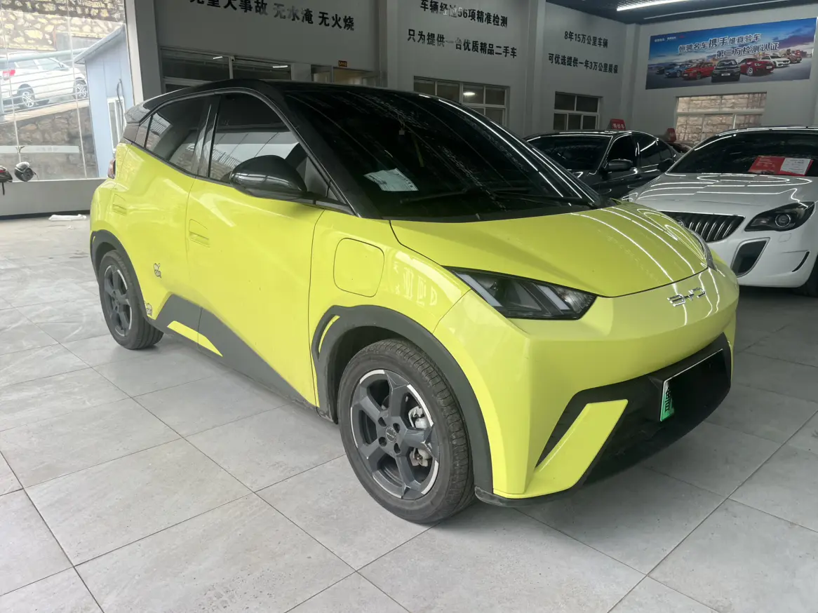 BYD Seagull
