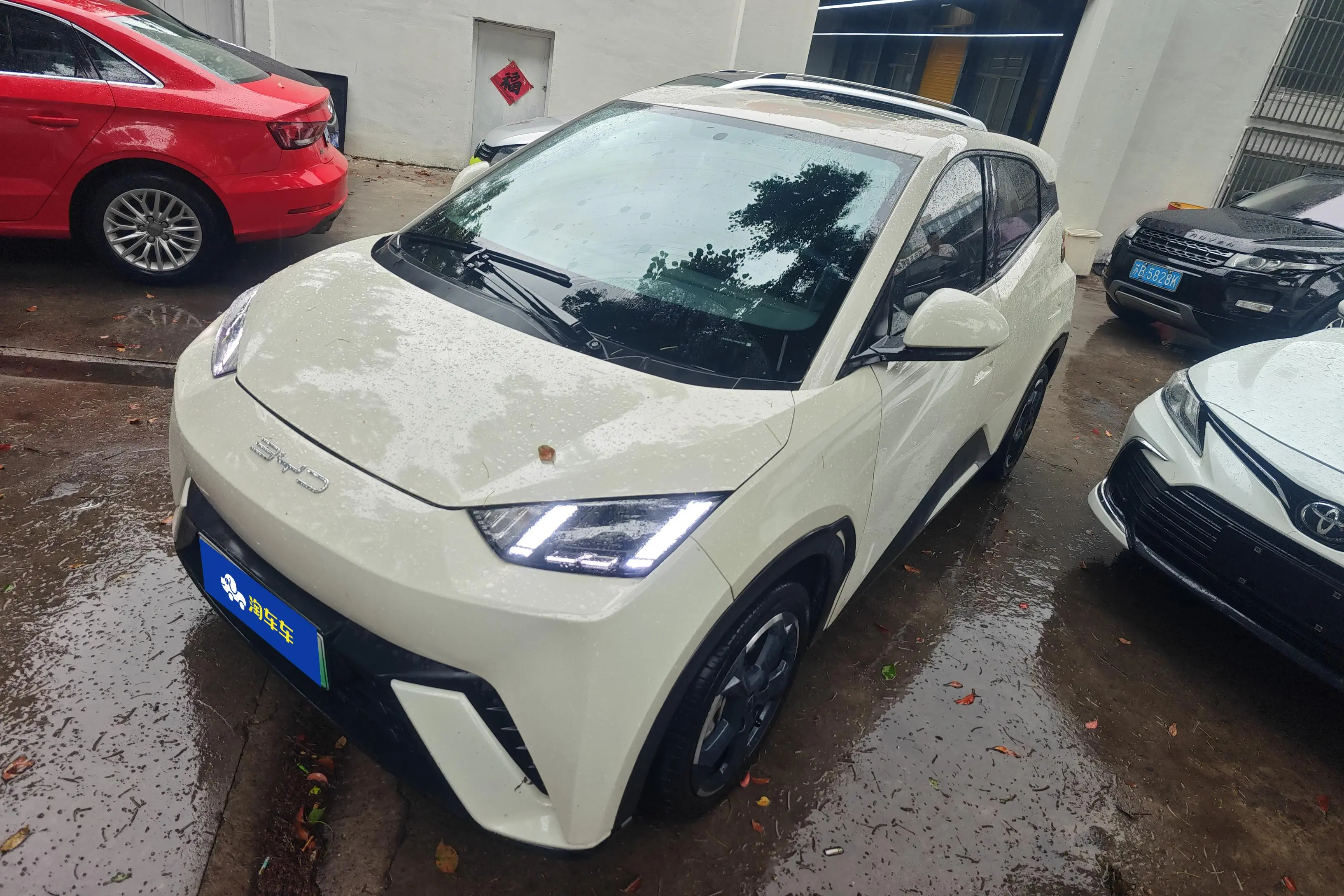 BYD Seagull